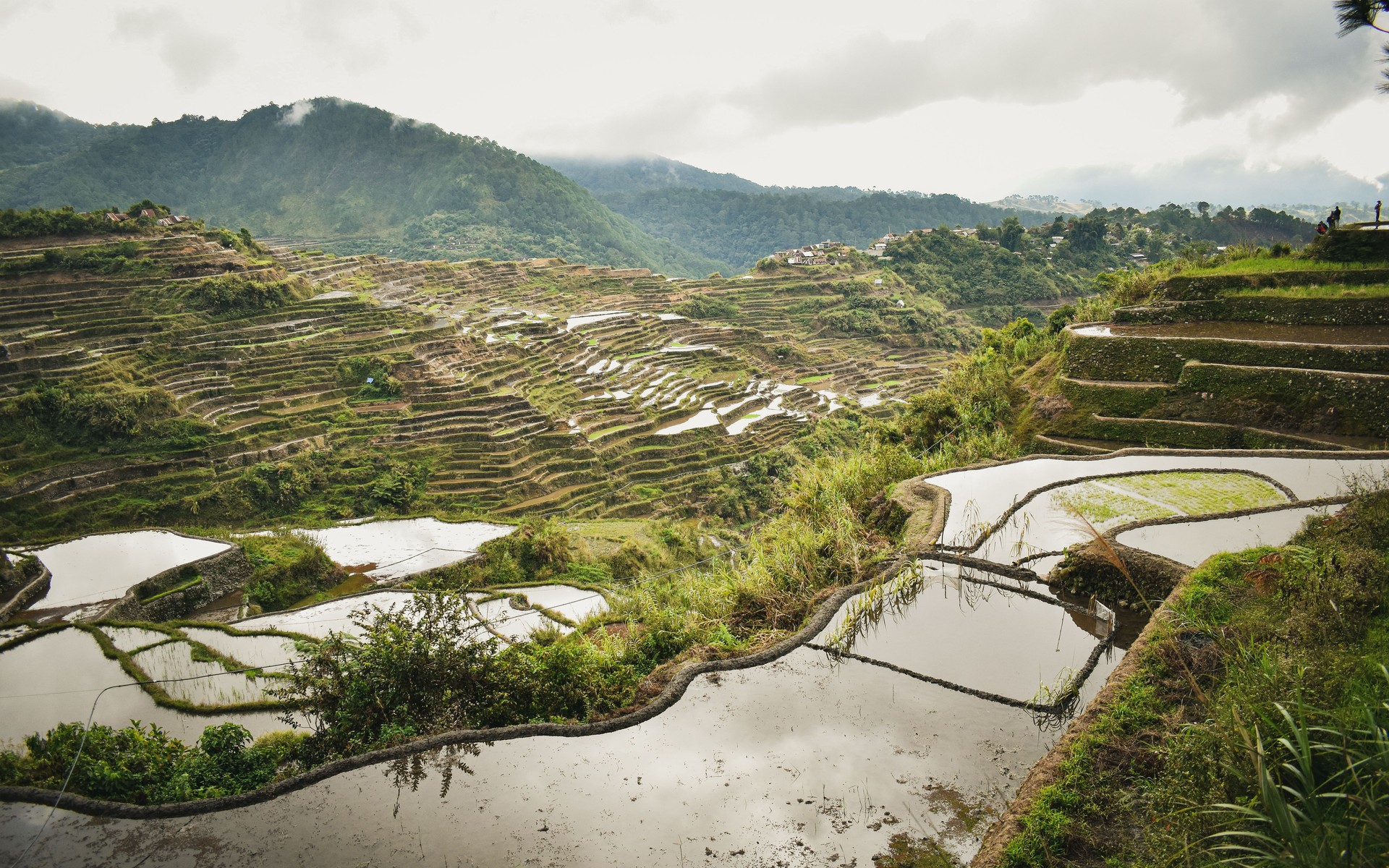 A photograph of Banaue & Sagada, Philippines.