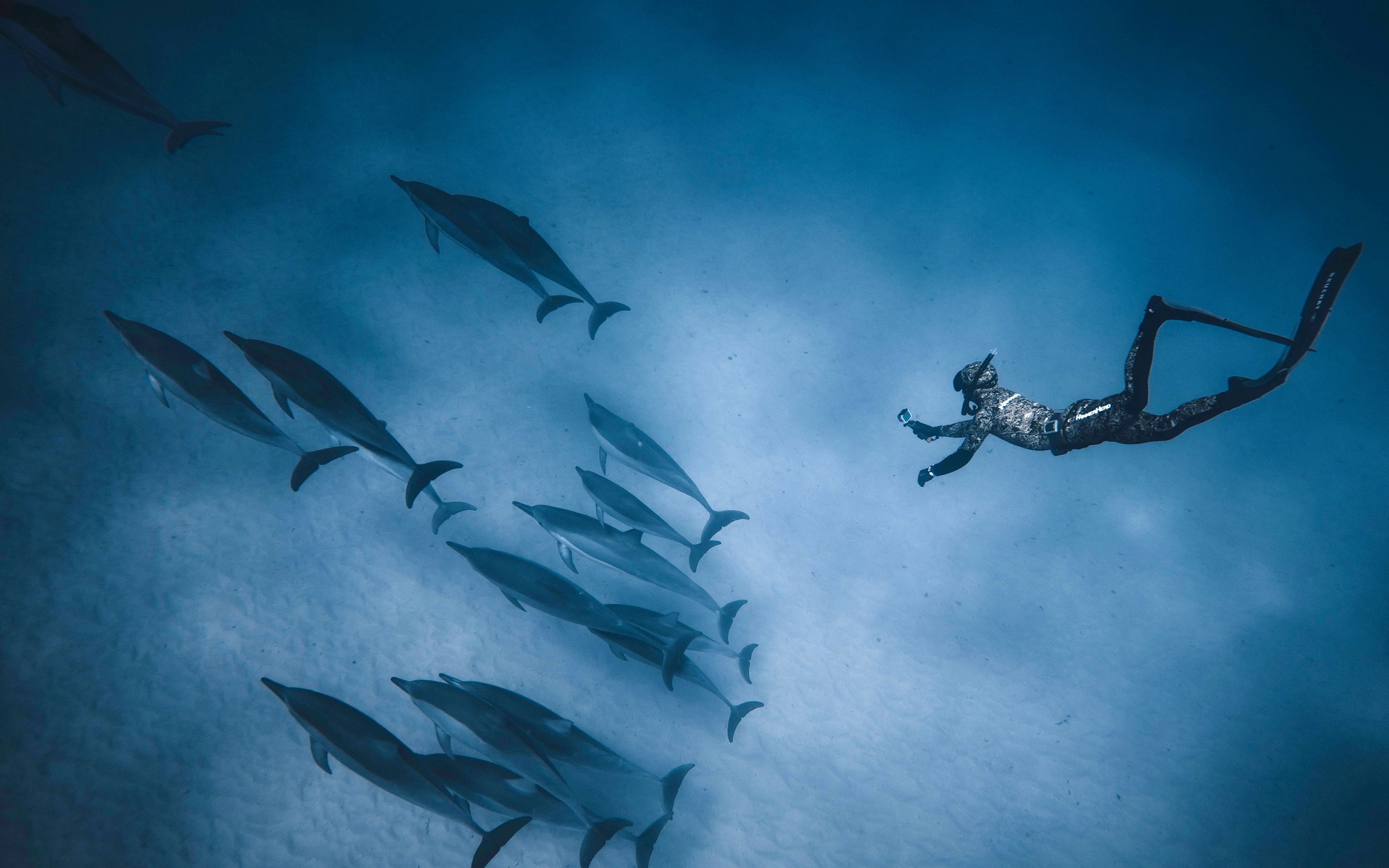 A photograph of Darwin & Wolf Dive Circuit, Ecuador.