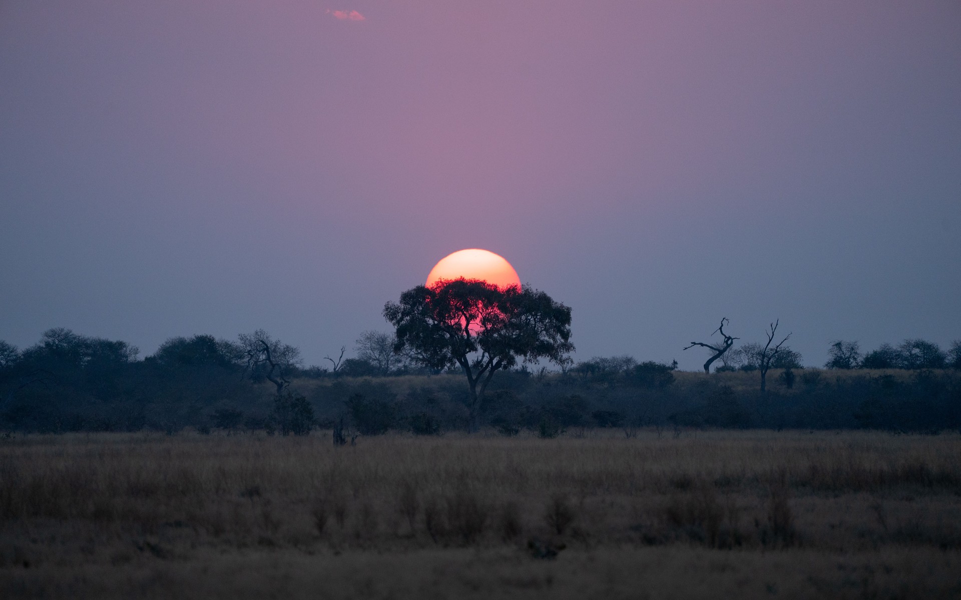 Chobe National Park, Botswana