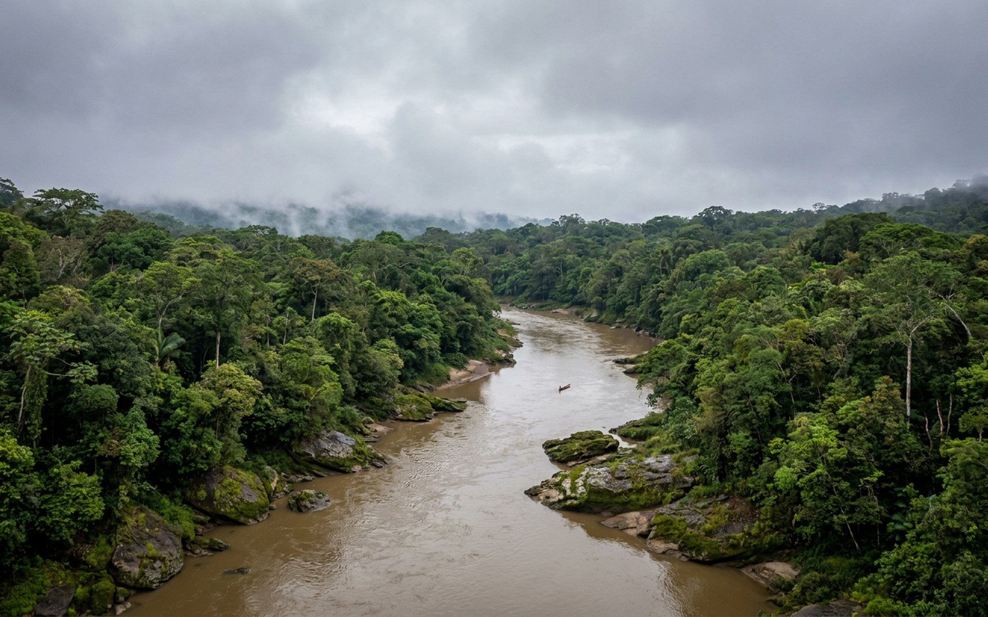Dense, biodiverse Amazon rainforest of Madidi National Park, capturing vibrant green canopy and a winding river under a humid, overcast sky. at Madidi, Bolivia — original Triple VIP destination visual.