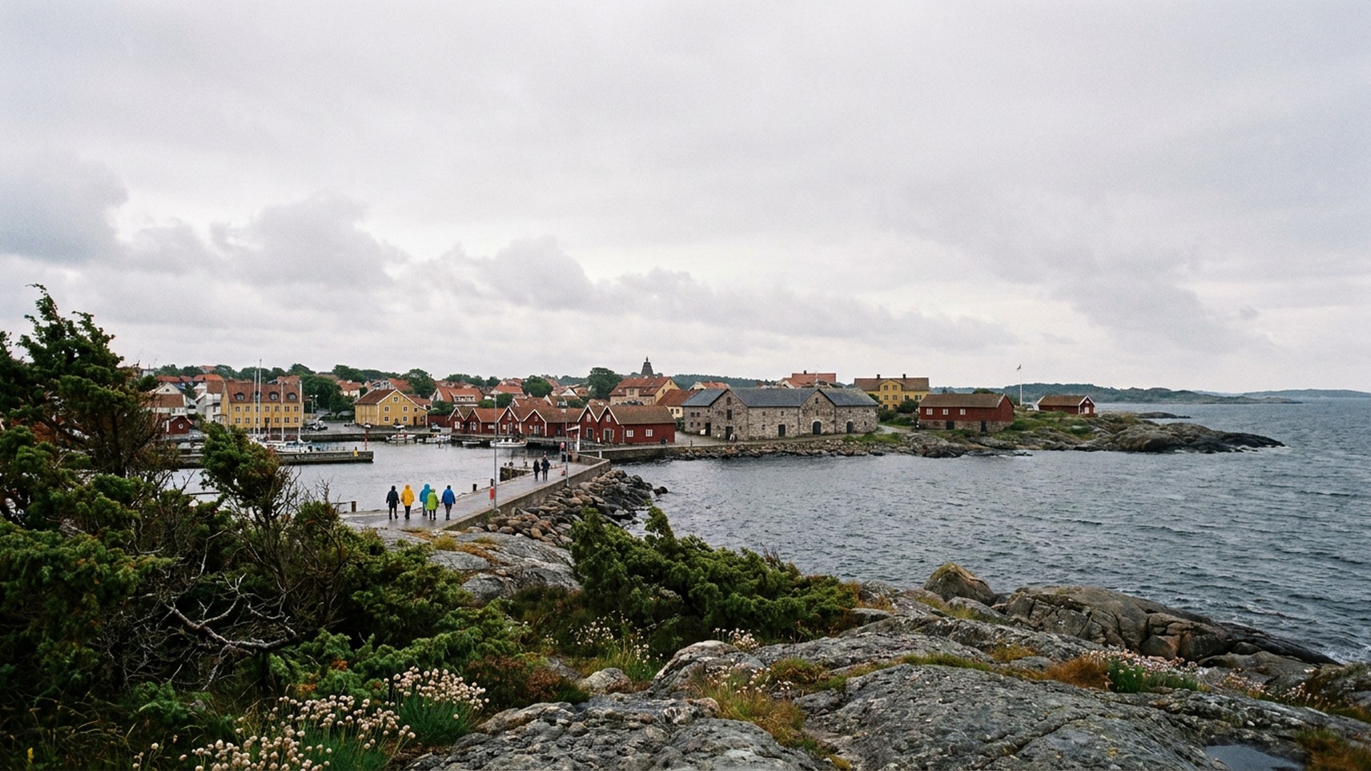 Shoreline and coastal vegetation in Karlshamn, Sweden