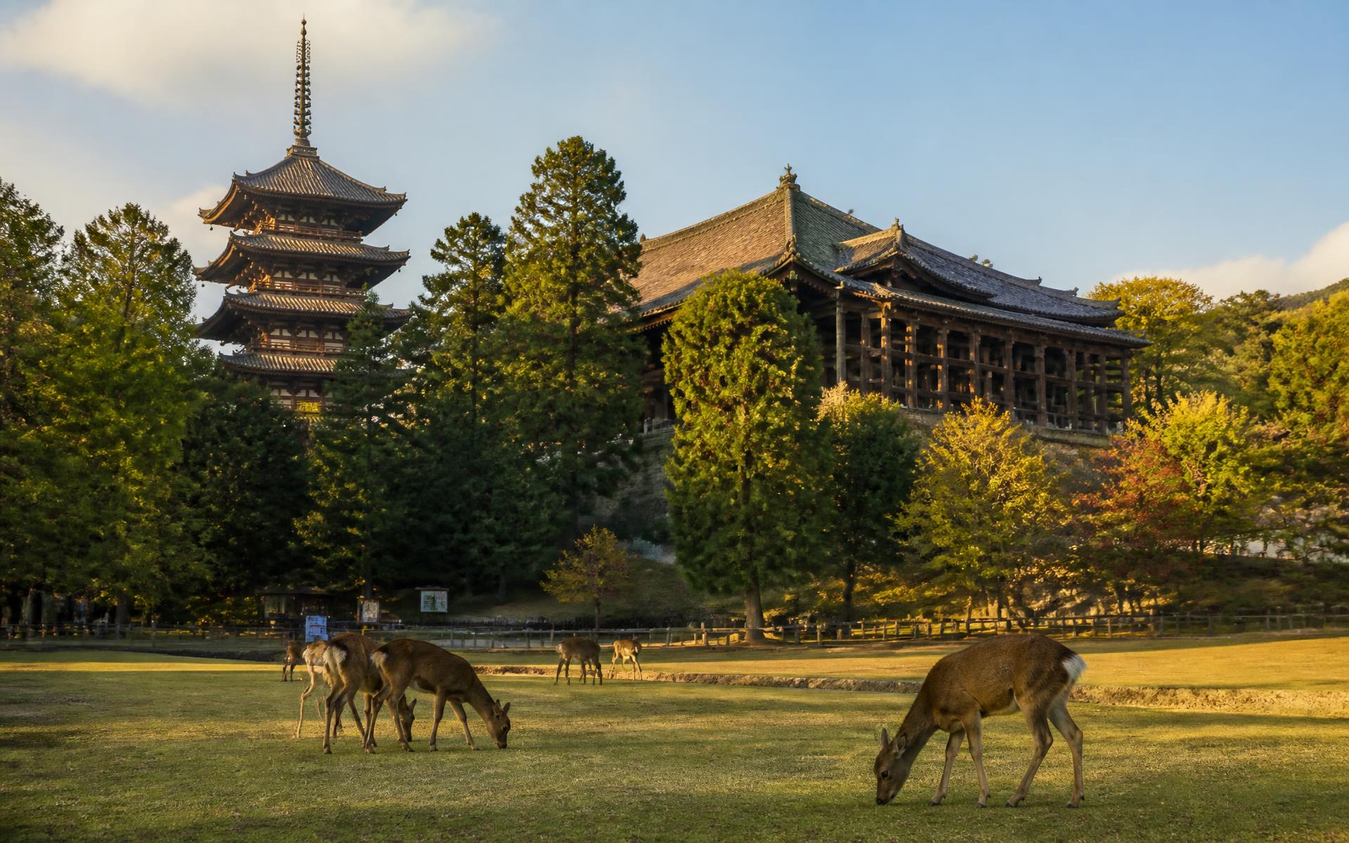 a five-storey wooden pagoda and ancient temple with sika deer grazing in parkland at Nara, Japan — original Triple VIP destination visual.