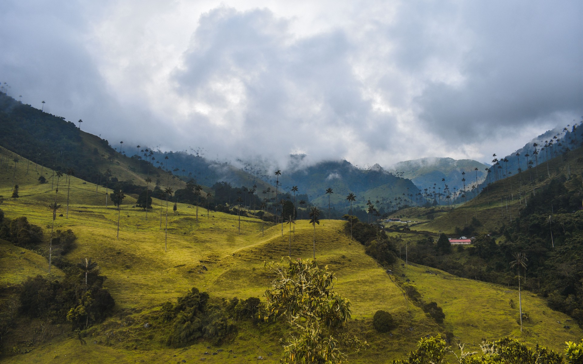 Colombian Coffee Region, Colombia