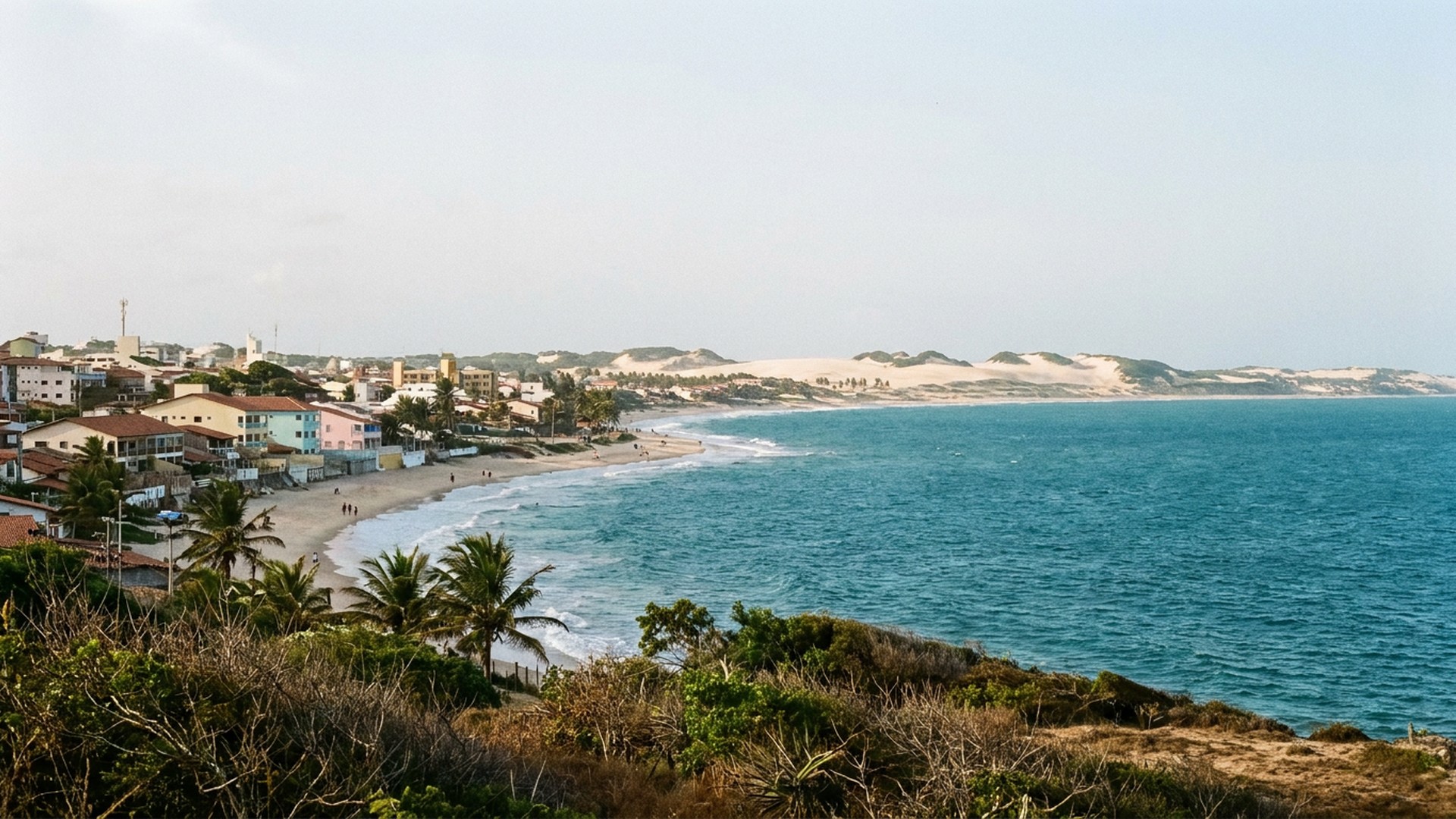 Shoreline and coastal vegetation in Natal, Brazil