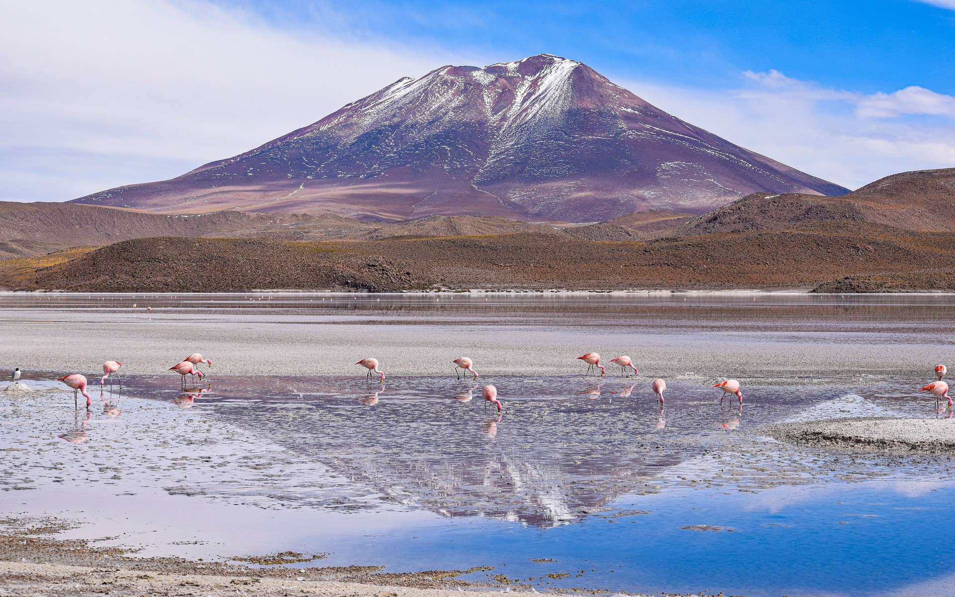 A photograph of Eduardo Avaroa & Red Lagoons, Bolivia.