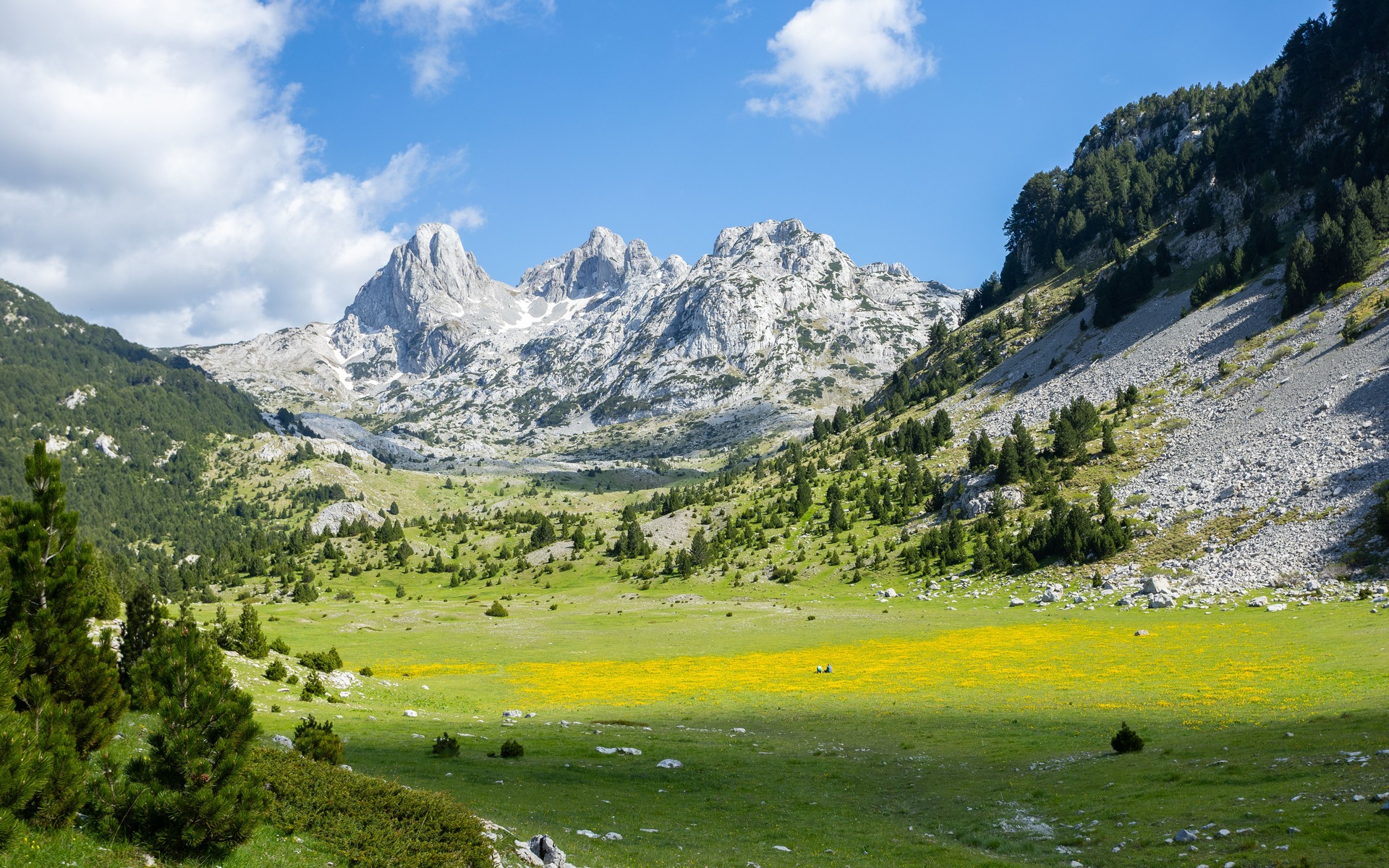 Limestone peaks of the Albanian Alps above a wildflower meadow near Theth, Albania