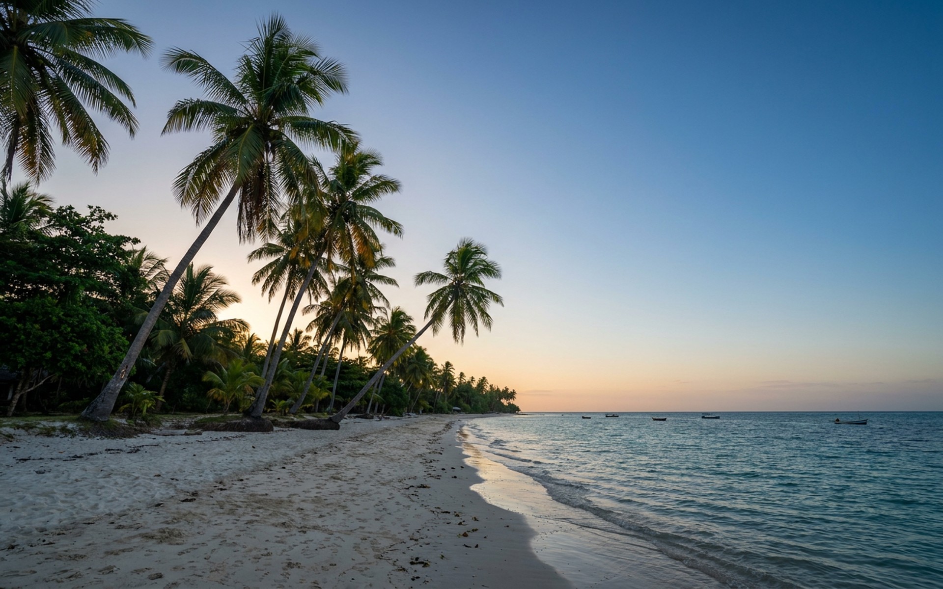 White sandy beach of Nosy Be lined with swaying palm trees, facing the calm turquoise waters of the Indian Ocean at dusk. at Nosy Be, Madagascar — original Triple VIP destination visual.