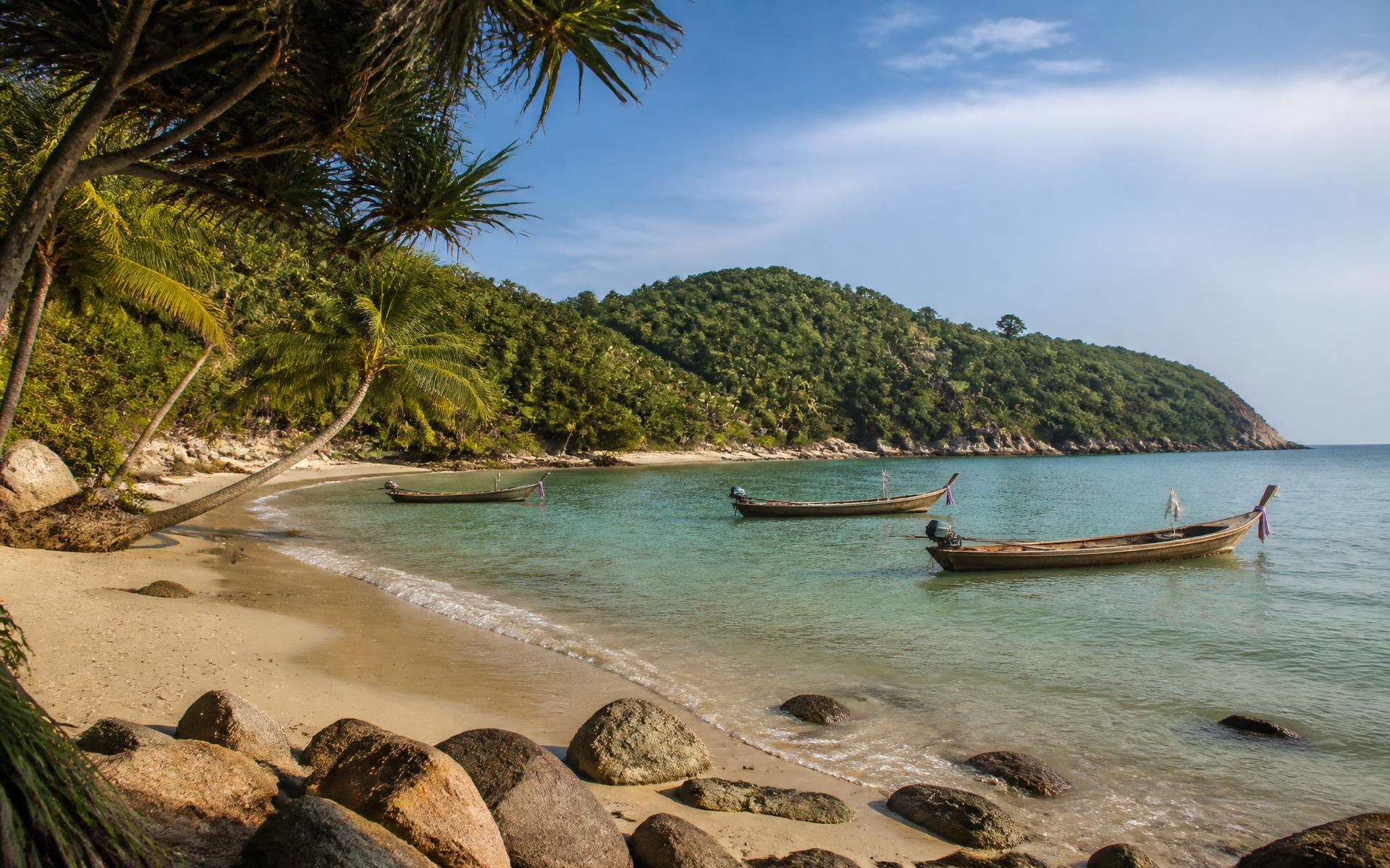 Longtail boats moored in a quiet palm-fringed bay on Koh Phangan, Thailand