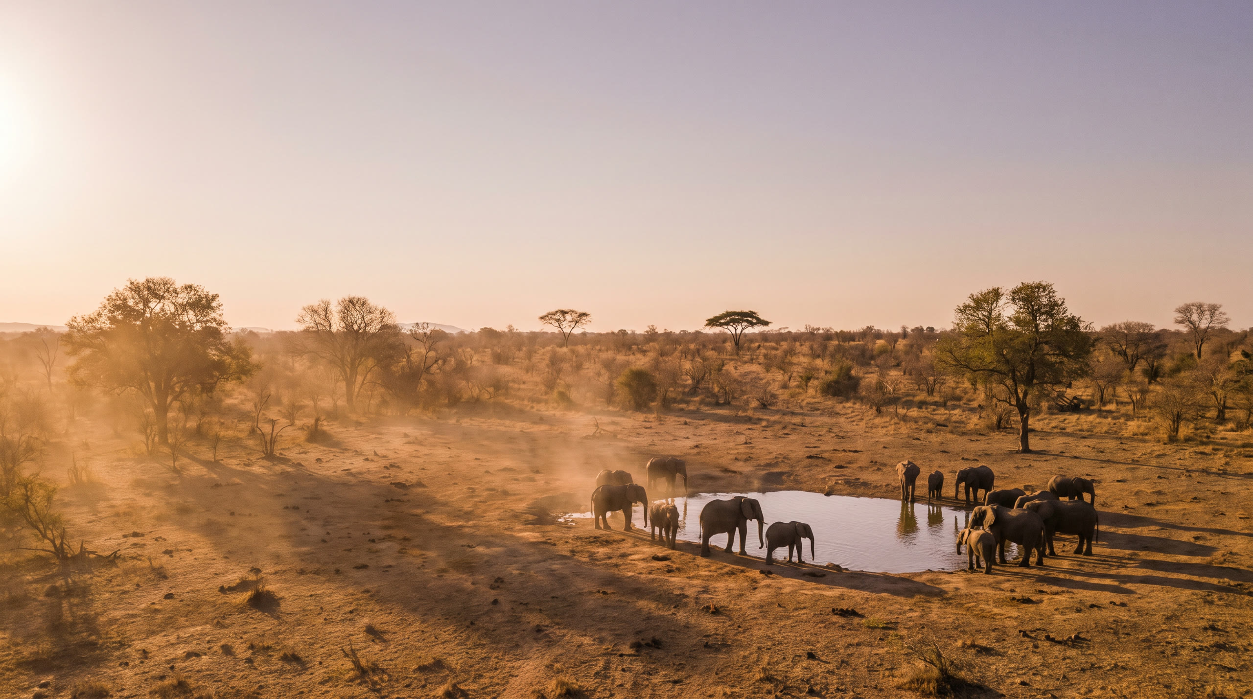 bushveld with elephants at a waterhole in low warm light at Kruger National Park, South Africa, in late afternoon light — original Triple VIP destination visual.