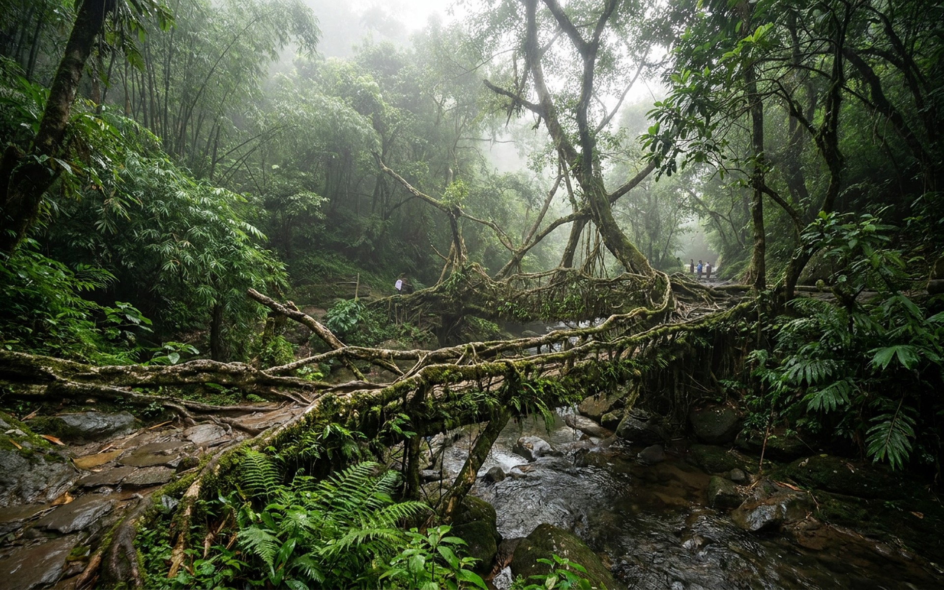Meghalaya, India