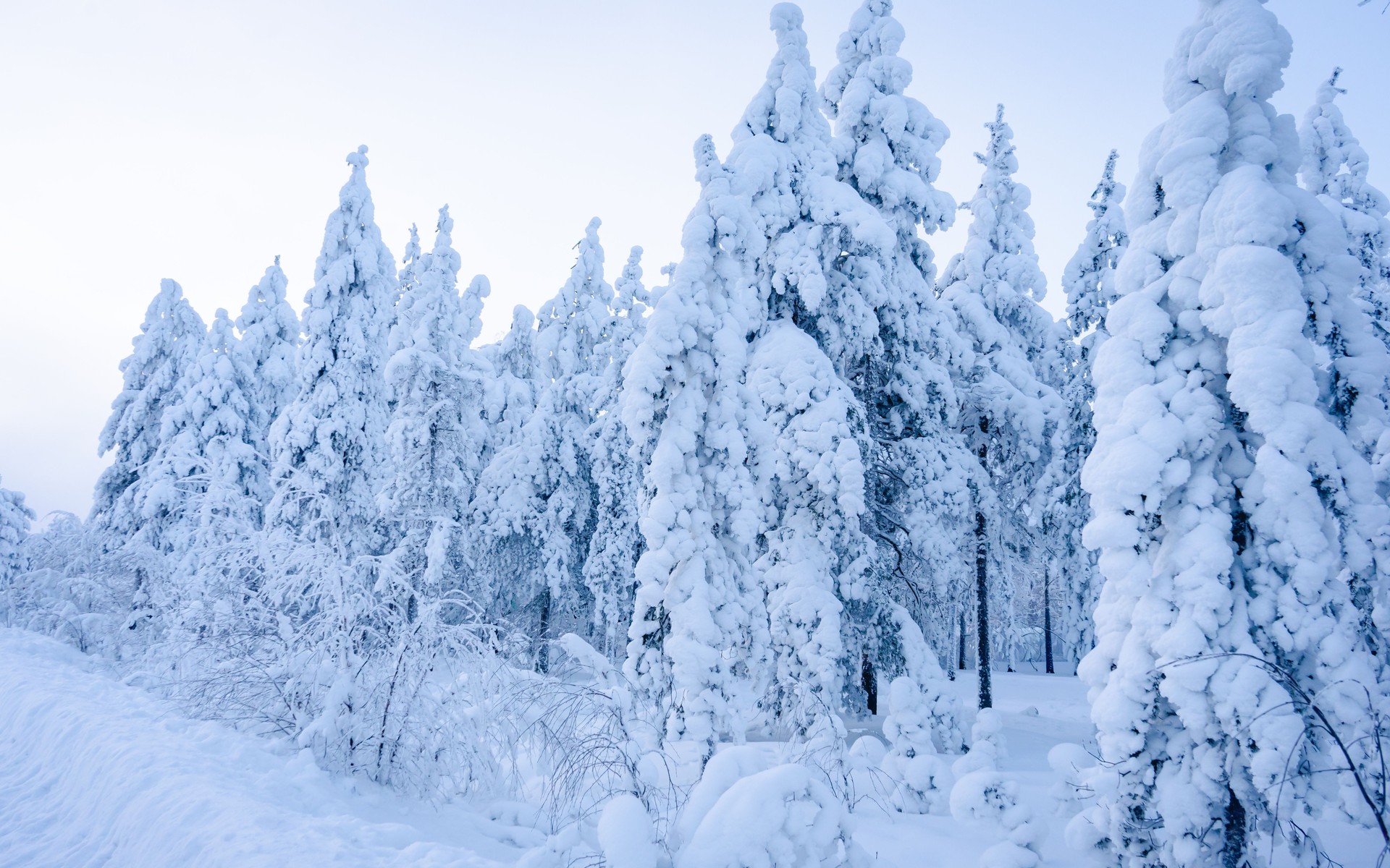 A photograph of Finnish Lapland, Finland.