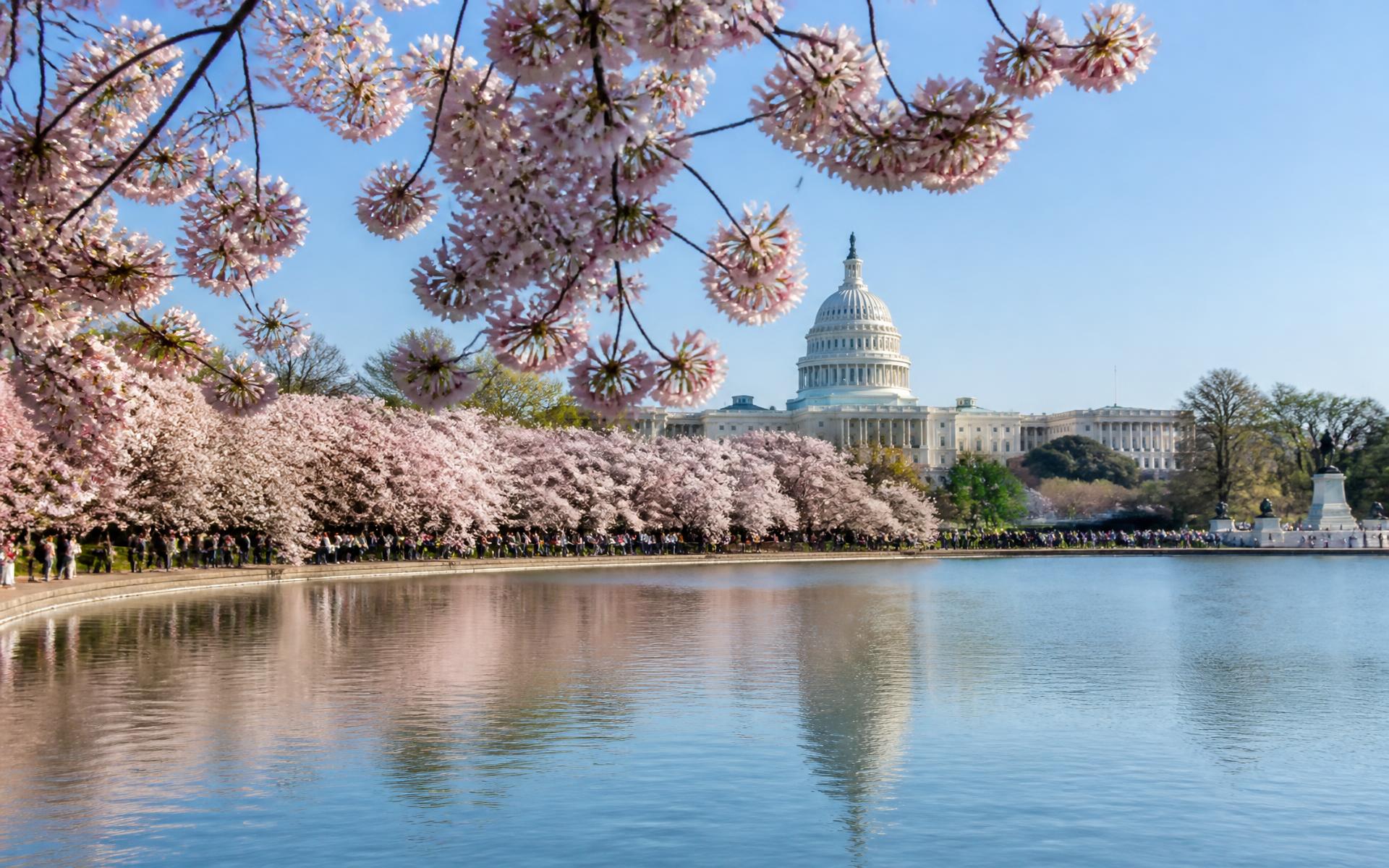 Washington DC, United States