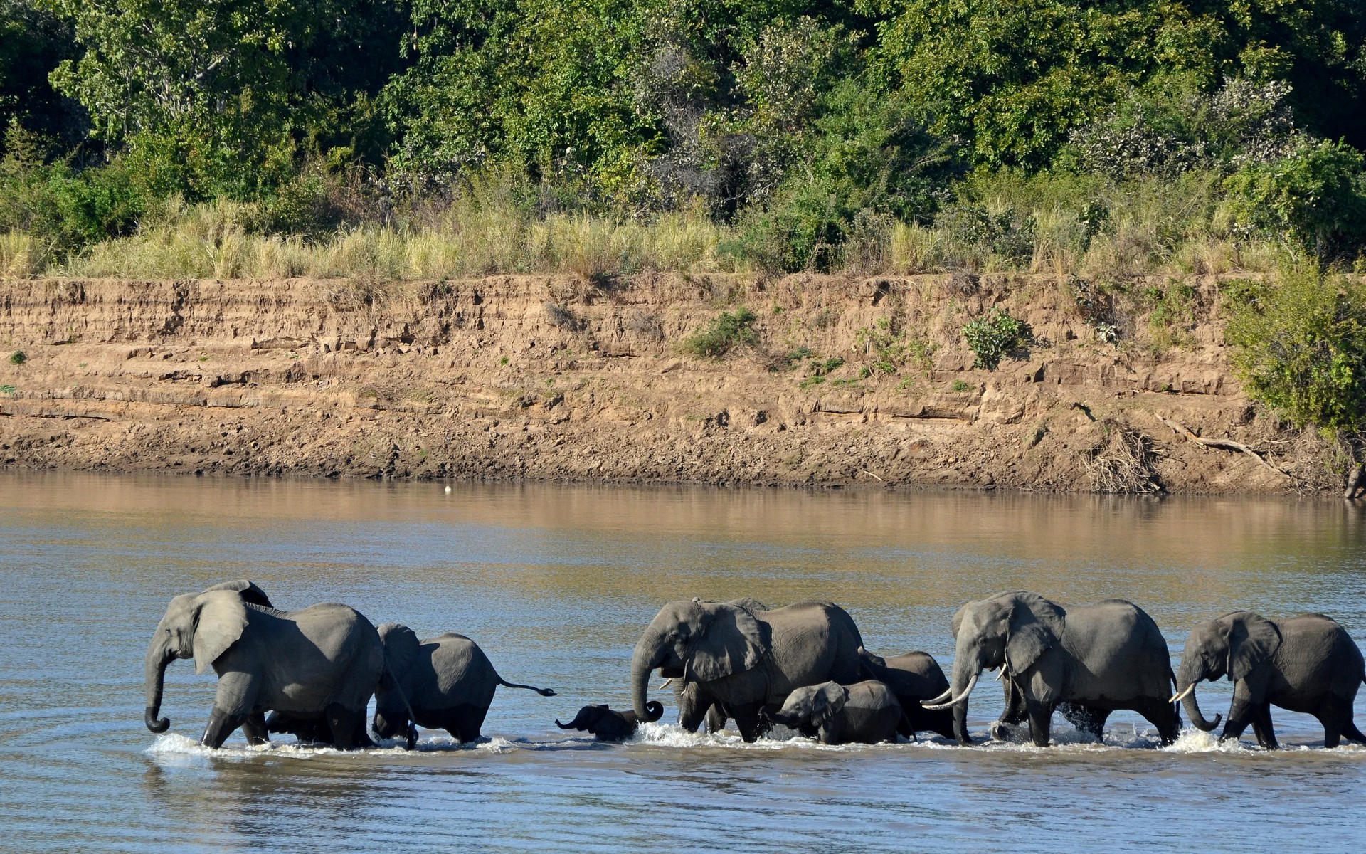 South Luangwa, Zambia