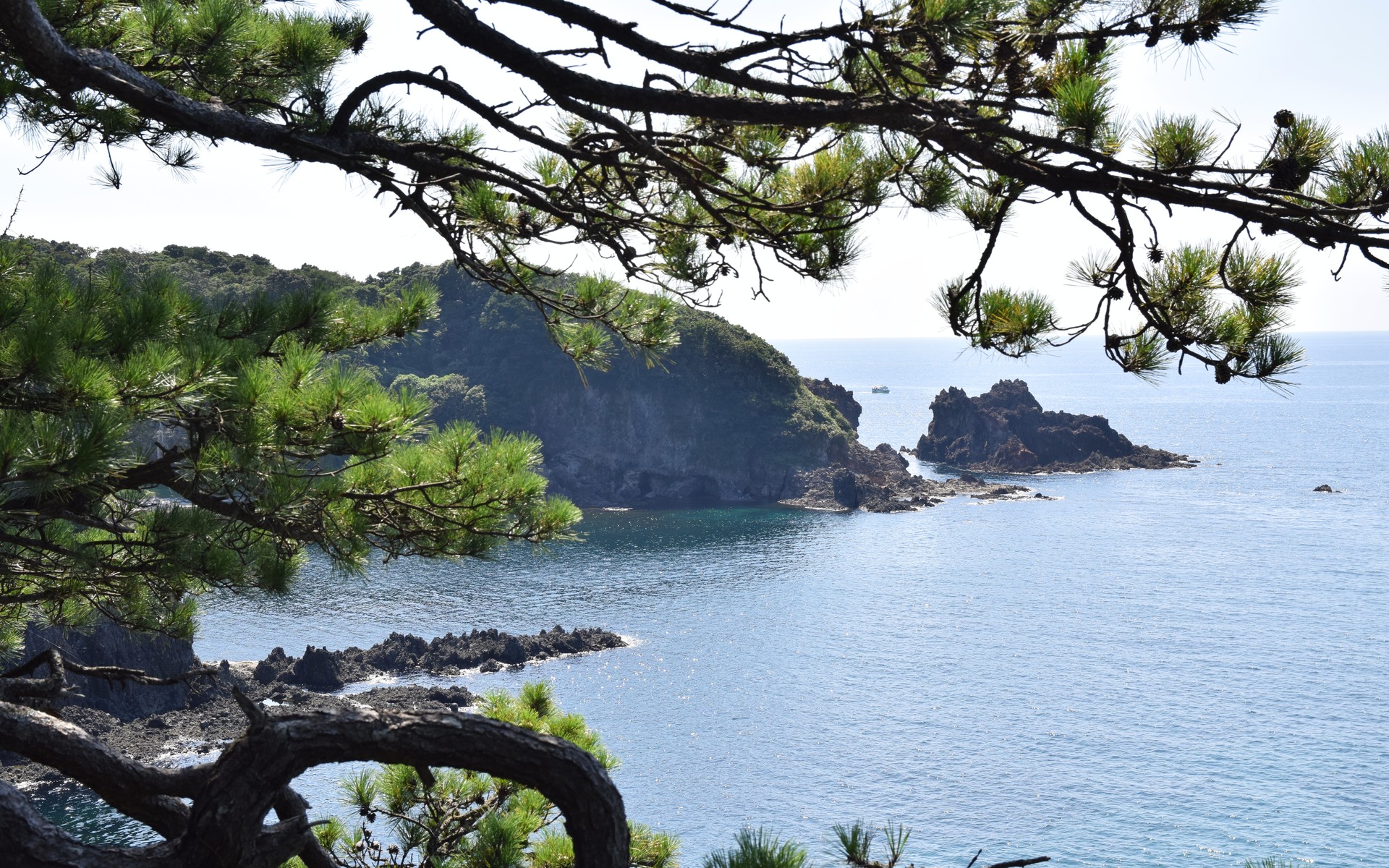 A photograph of Noto Peninsula, Japan.