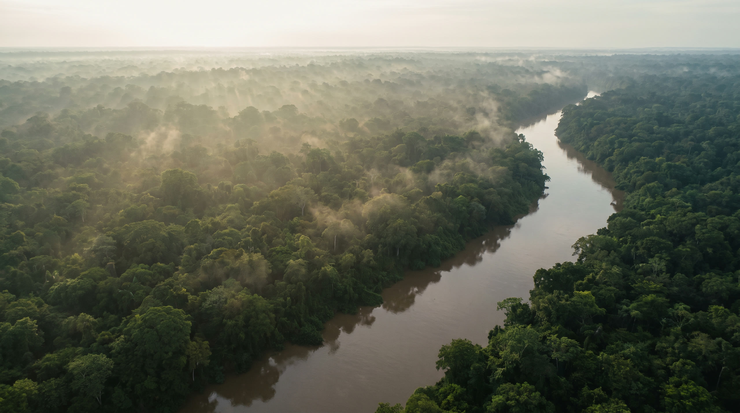 the rainforest canopy stretching to the horizon along a broad brown river at Amazon Rainforest, Brazil, in early morning light — original Triple VIP destination visual.