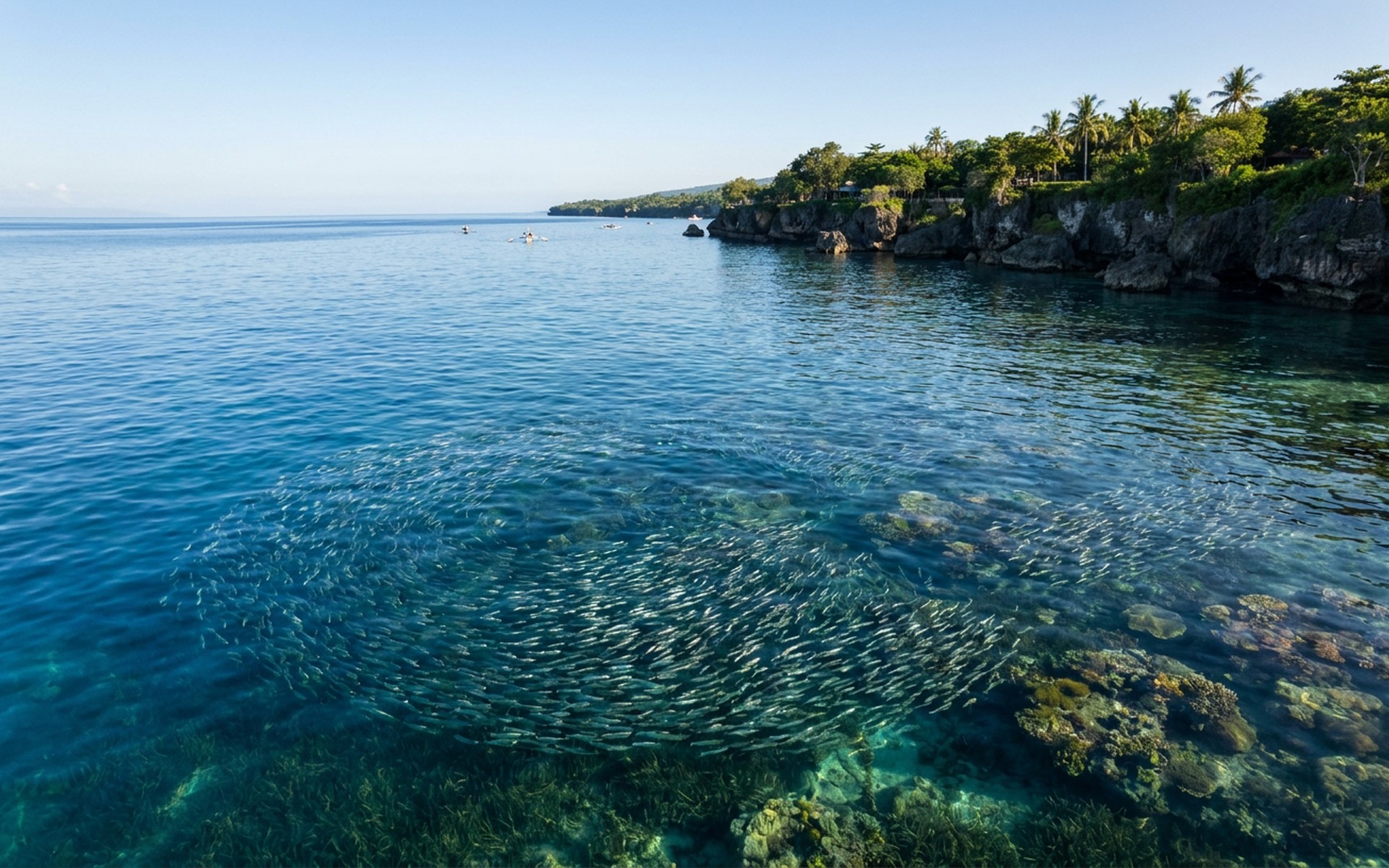 Clear sapphire waters teeming with sardine run and vibrant coral reefs, viewed through the surface from above. at Cebu & Moalboal, Philippines — original Triple VIP destination visual.