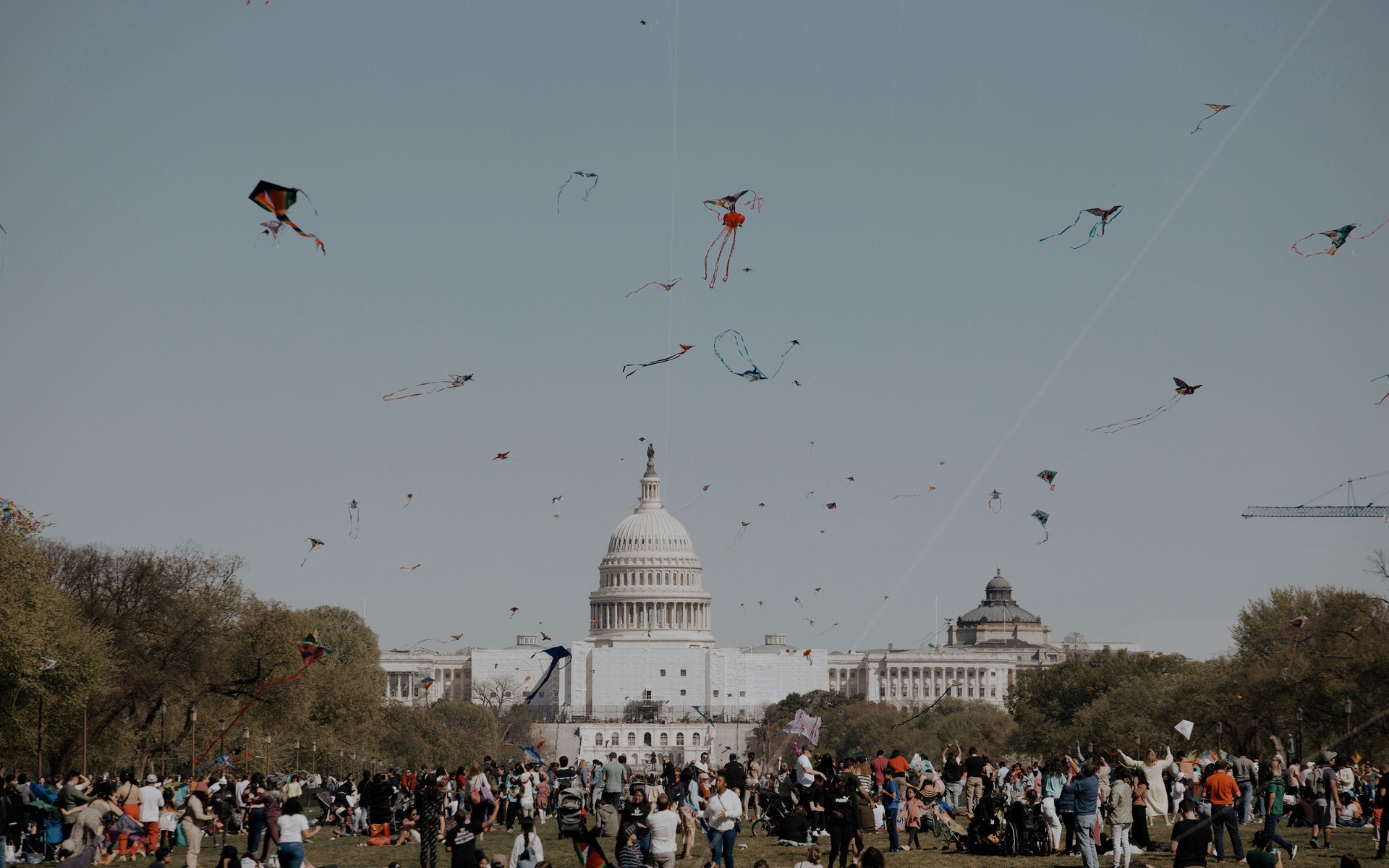 Washington DC, United States