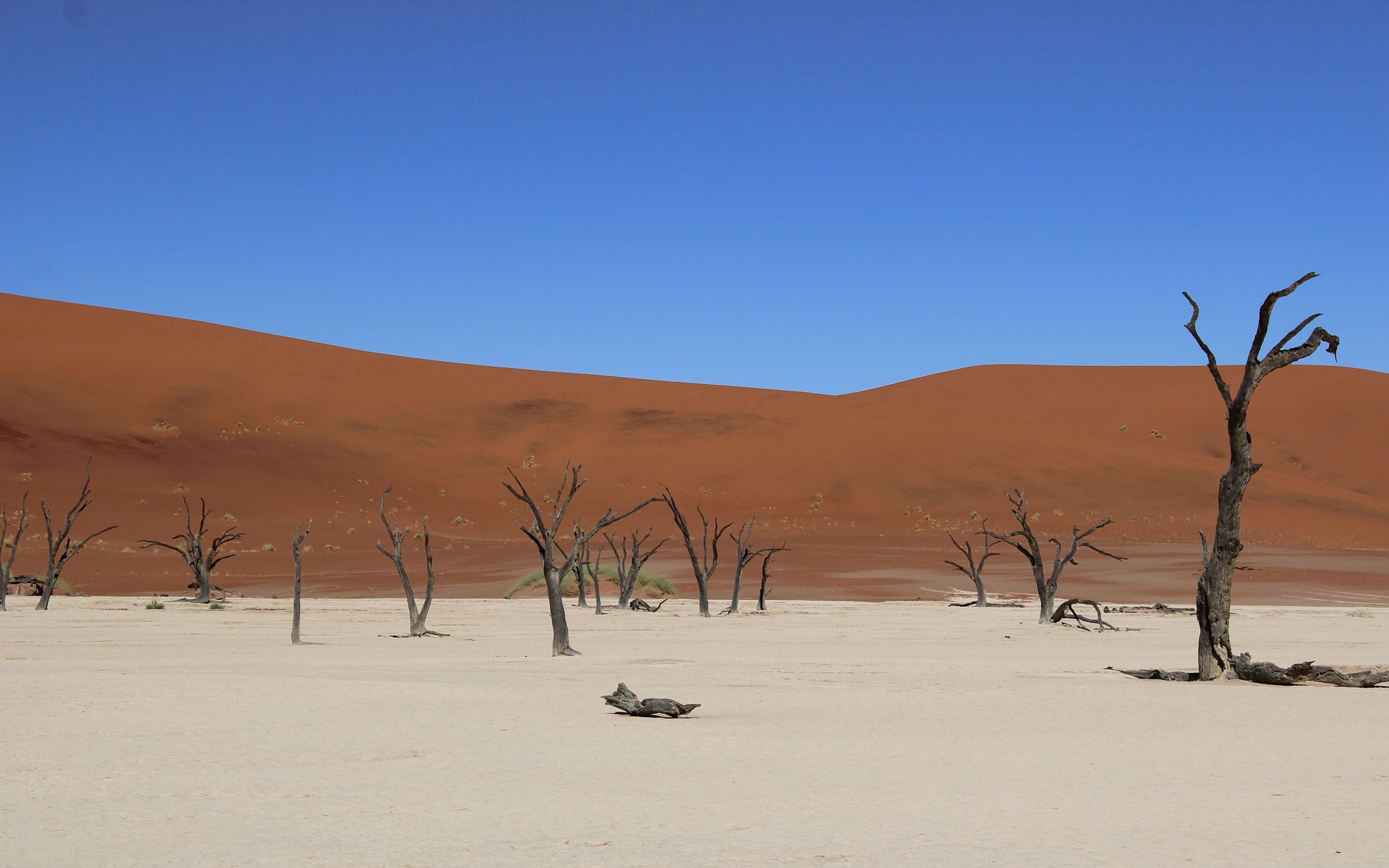 Sossusvlei Dune Season, Namibia