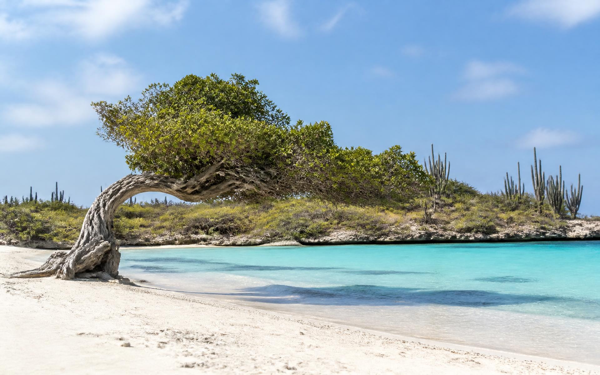 Aruba, Aruba
