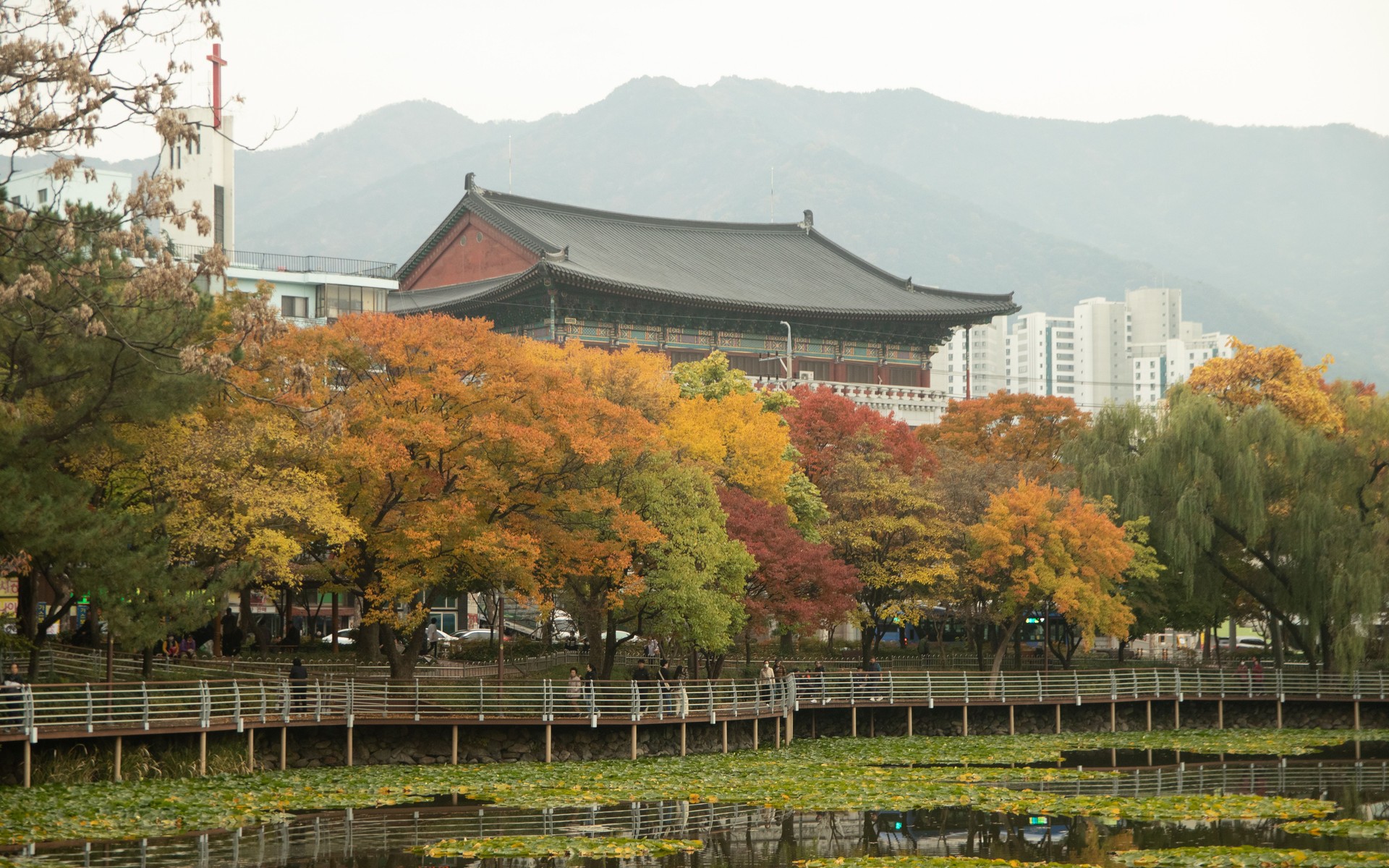 A photograph of Daegu, South Korea.