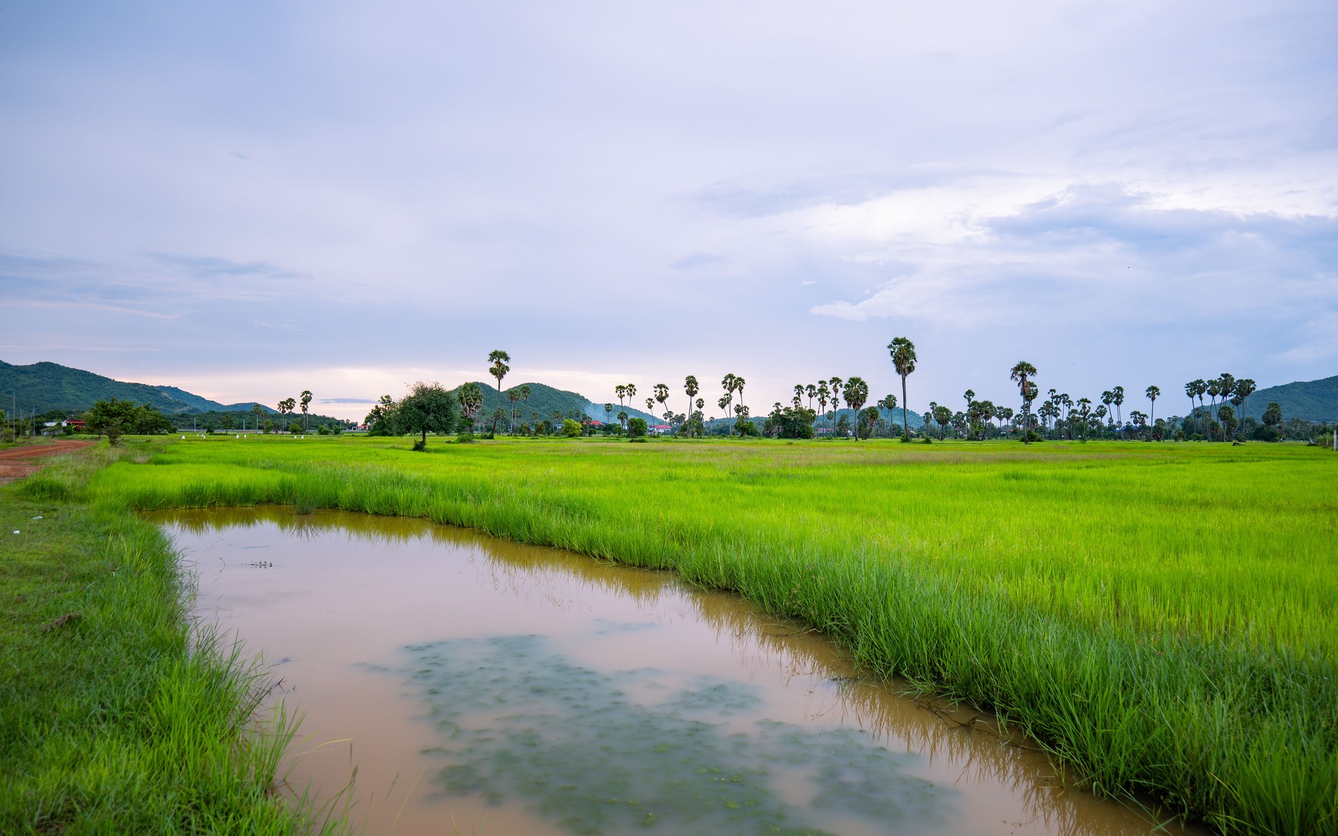 A photograph of Isaan (Northeast Thailand), Thailand.