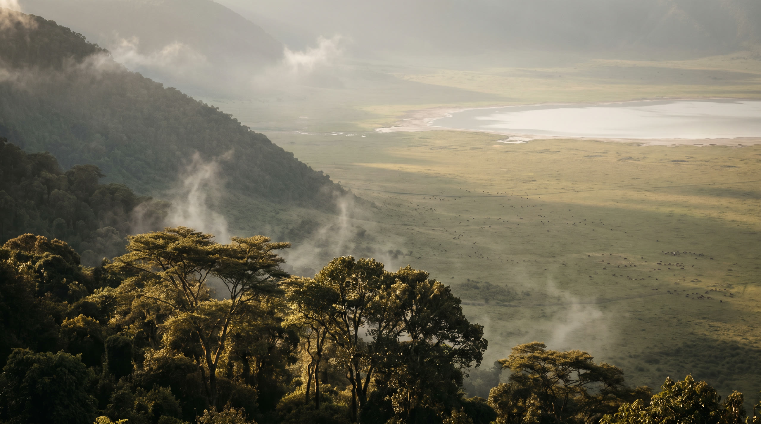 the crater floor seen from the forested rim with a soda lake glinting at Ngorongoro Crater, Tanzania, in morning light — original Triple VIP destination visual.