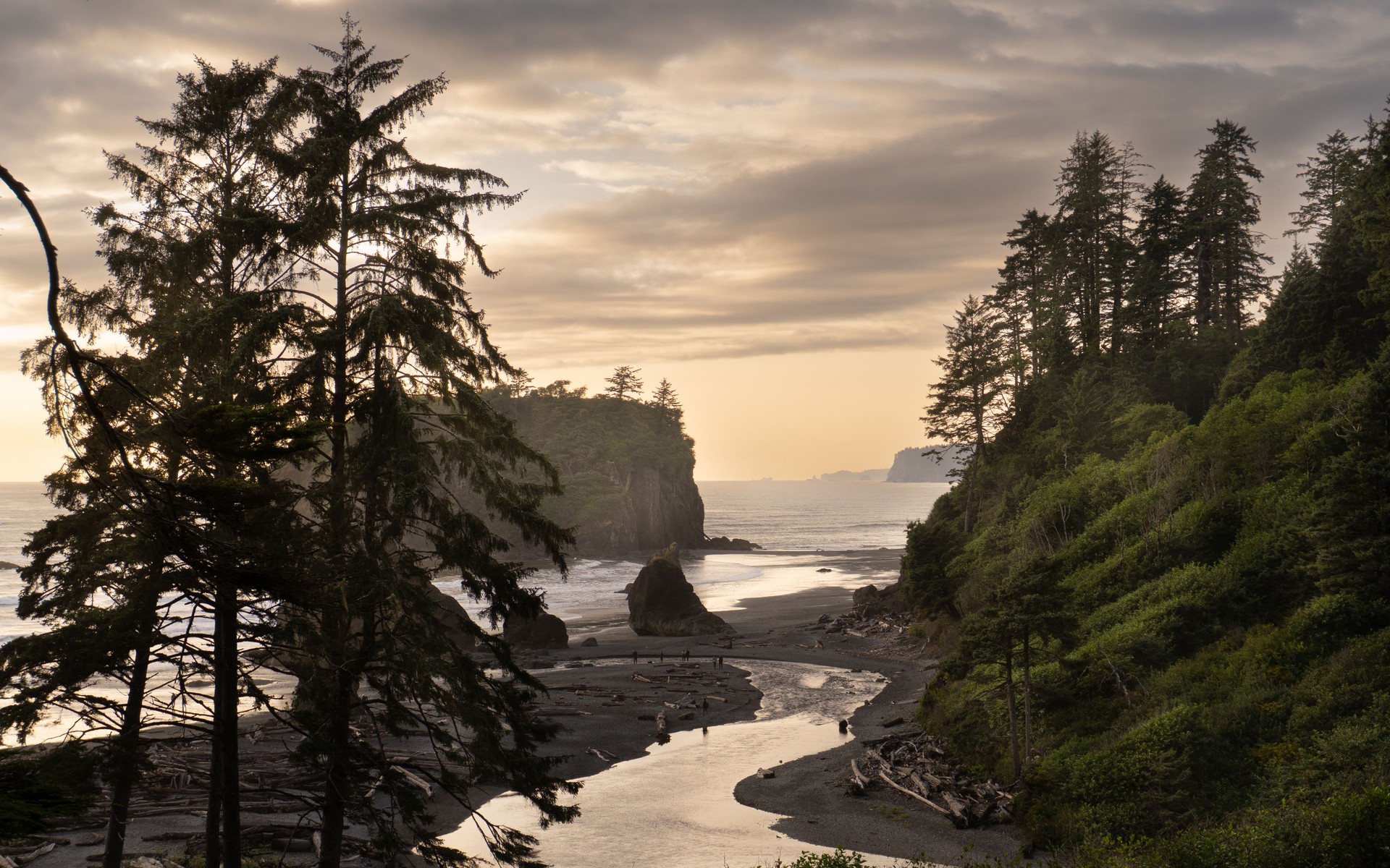 A photograph of Olympic Peninsula, United States.