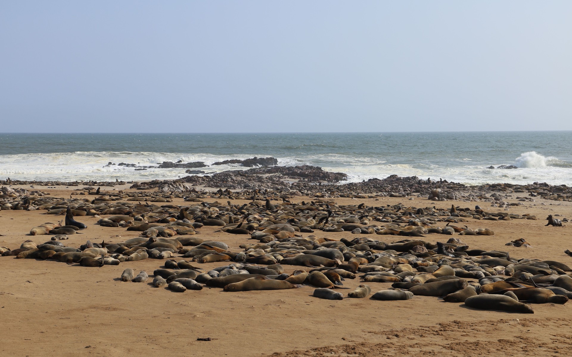 A photograph of Skeleton Coast, Namibia.