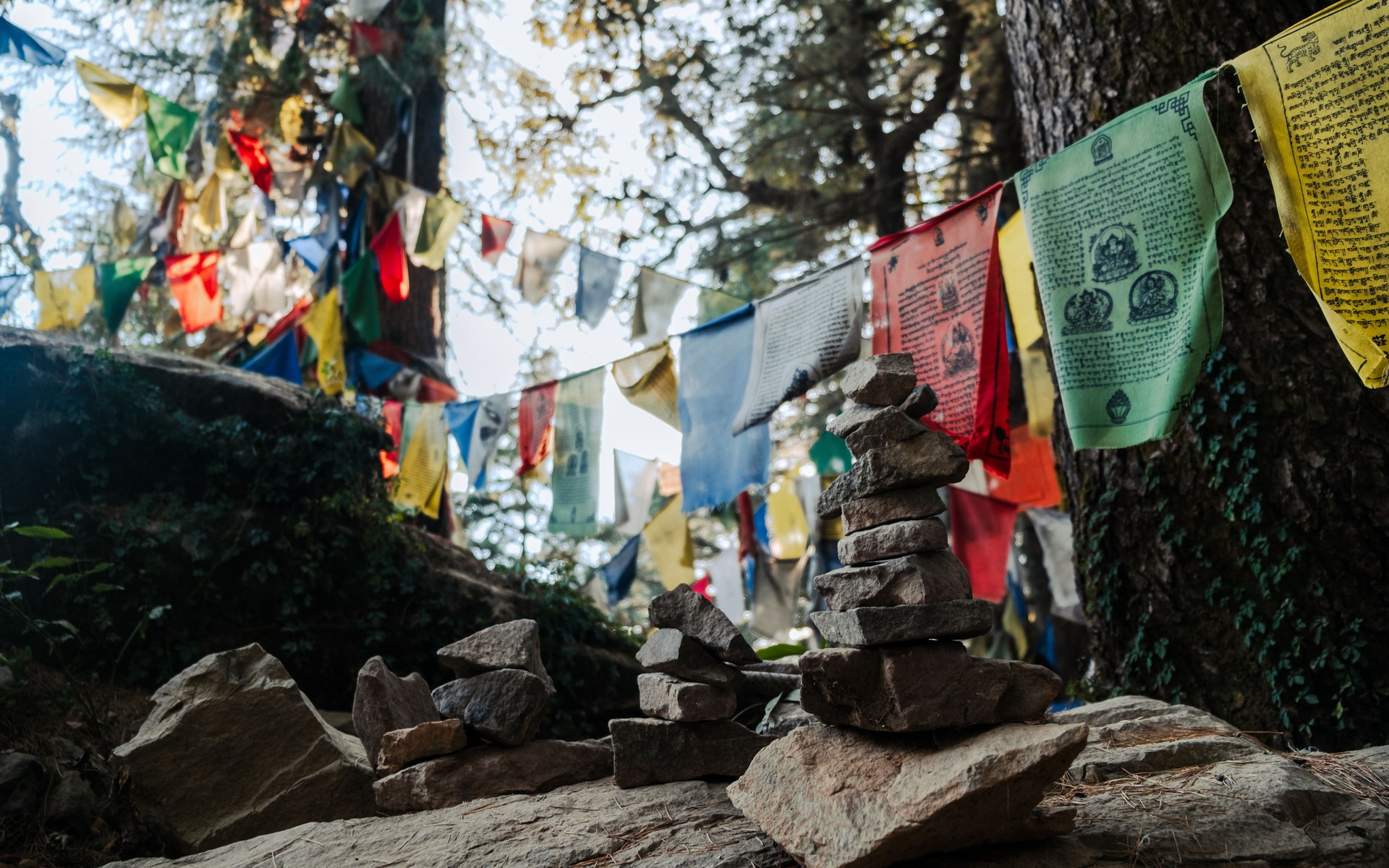 A photograph of Dharamshala & McLeod Ganj, India.