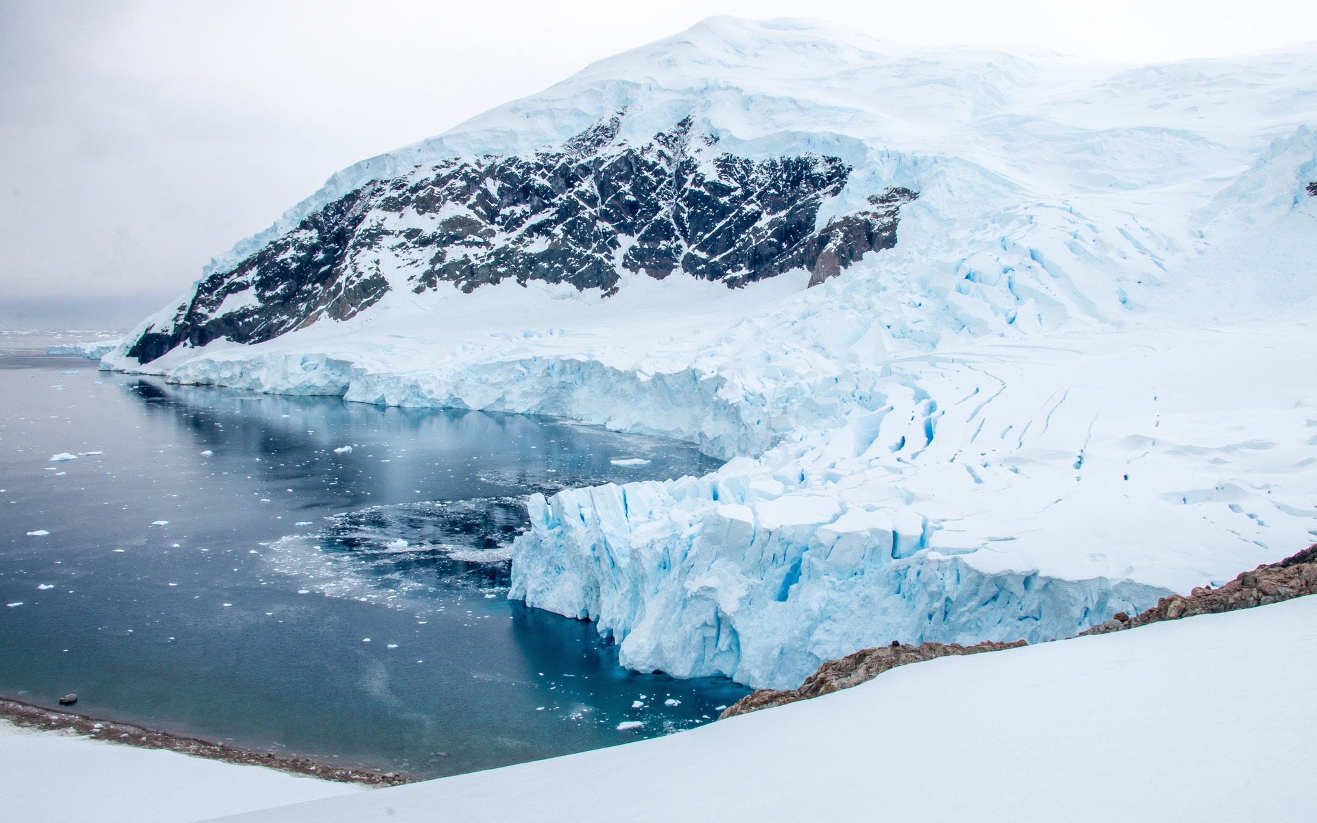 Glacier front, sea ice and dark rock along a bay on the Antarctic Peninsula