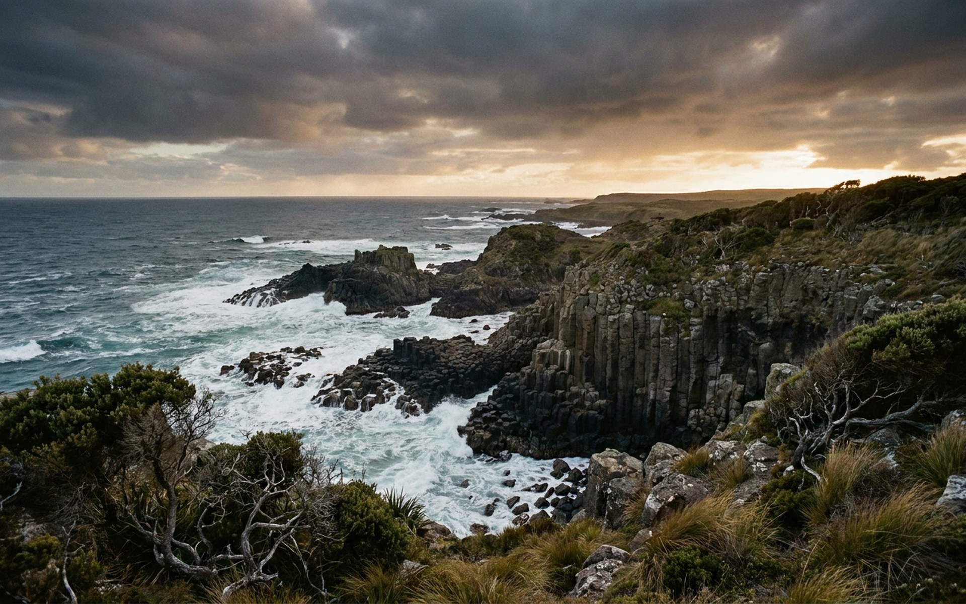 Chatham Islands, New Zealand