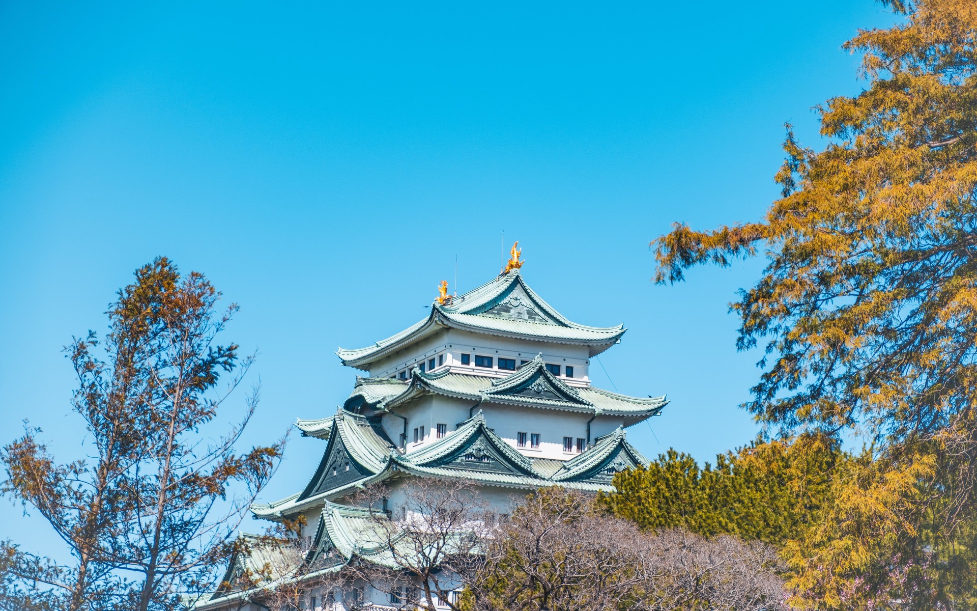 A photograph of Nagoya & Central Japan, Japan.