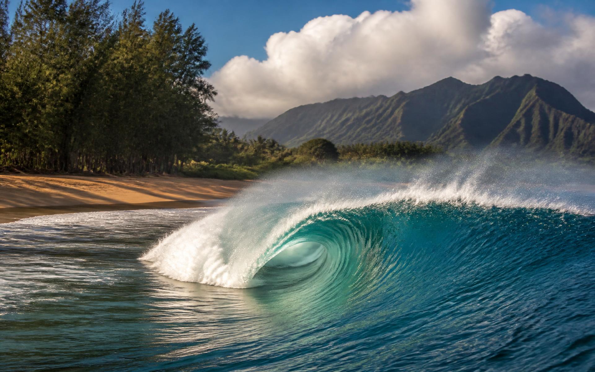 a large glassy wave breaking off a palm-backed beach at golden hour at the North Shore, Oahu, Hawaii — original Triple VIP destination visual.