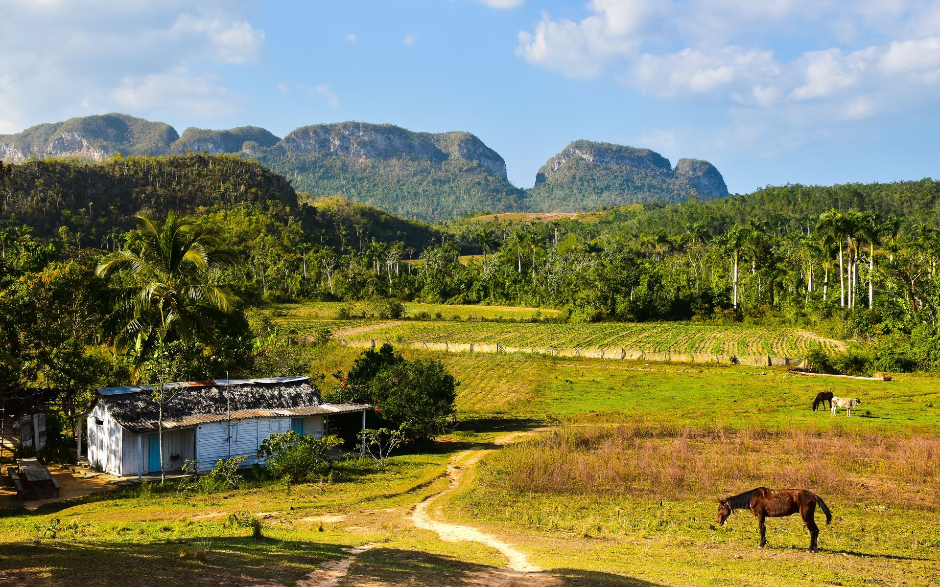 A photograph of Viñales & Western Cuba, Cuba.