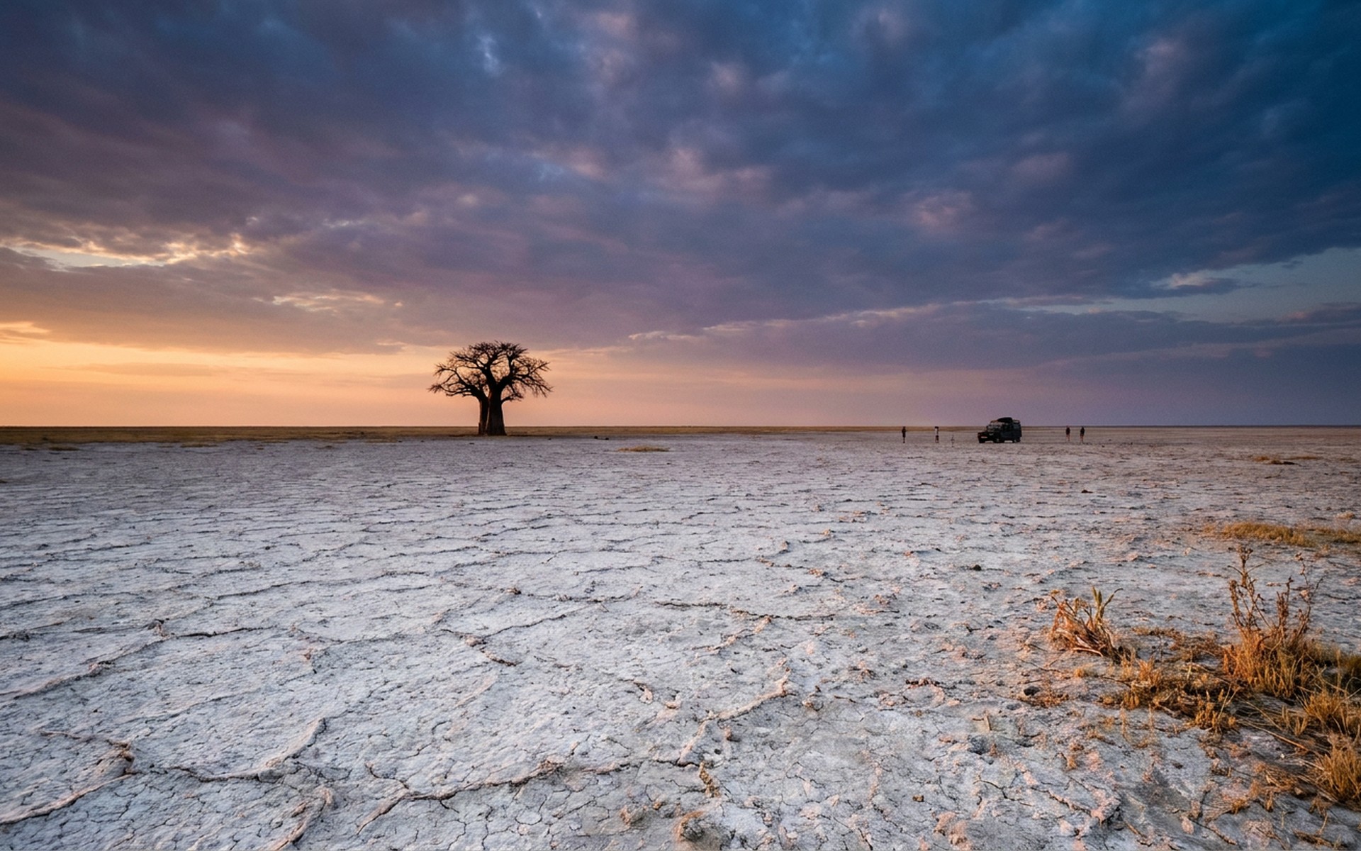 an endless cracked white salt pan under a huge sky with a lone baobab silhouetted on the horizon at dusk at the Makgadikgadi Pans, Botswana — original Triple VIP destination visual.