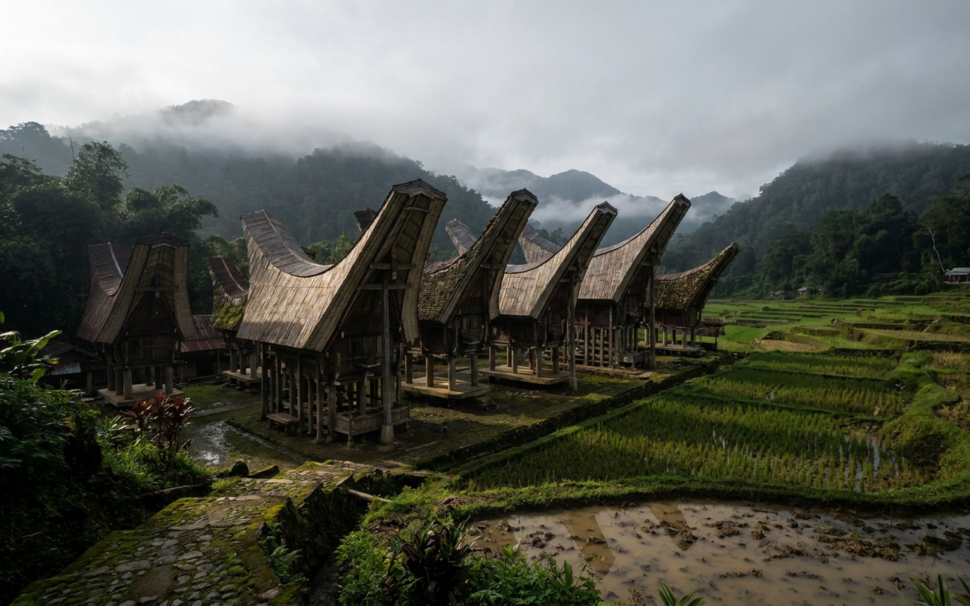 Tana Toraja, Indonesia