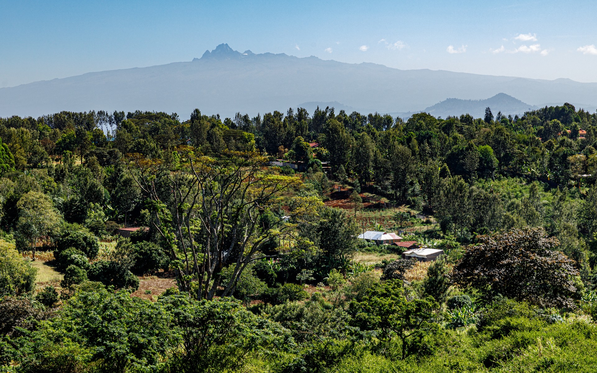 A photograph of Nyeri, Kenya.