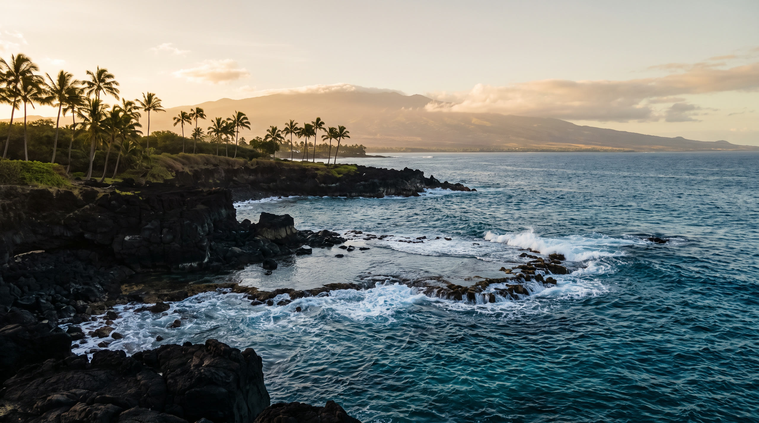 a volcanic coastline with black lava, palms and open Pacific at Maui, United States, in golden hour light — original Triple VIP destination visual.