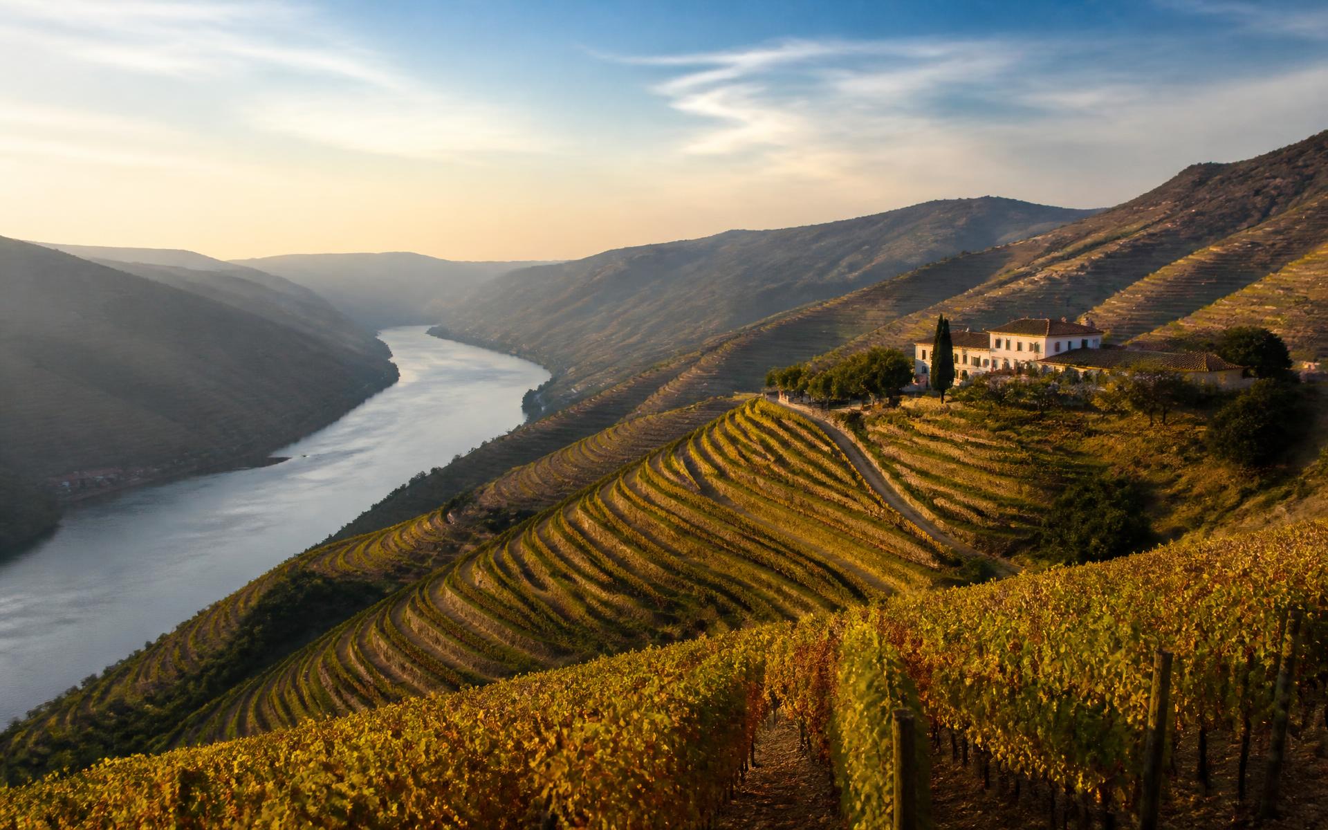 terraced vineyards descending steeply to the winding Douro river at the Douro Valley, Portugal — original Triple VIP destination visual.