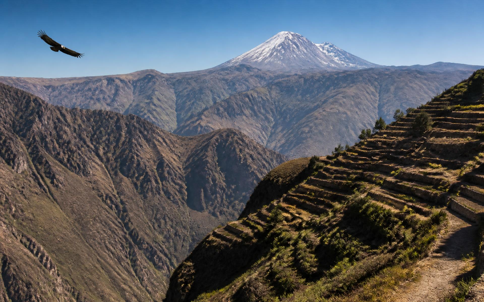 Arequipa & Colca Canyon, Peru