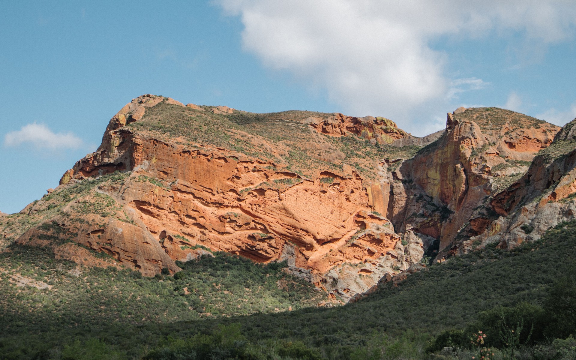 Cederberg & Bushmans Kloof, South Africa