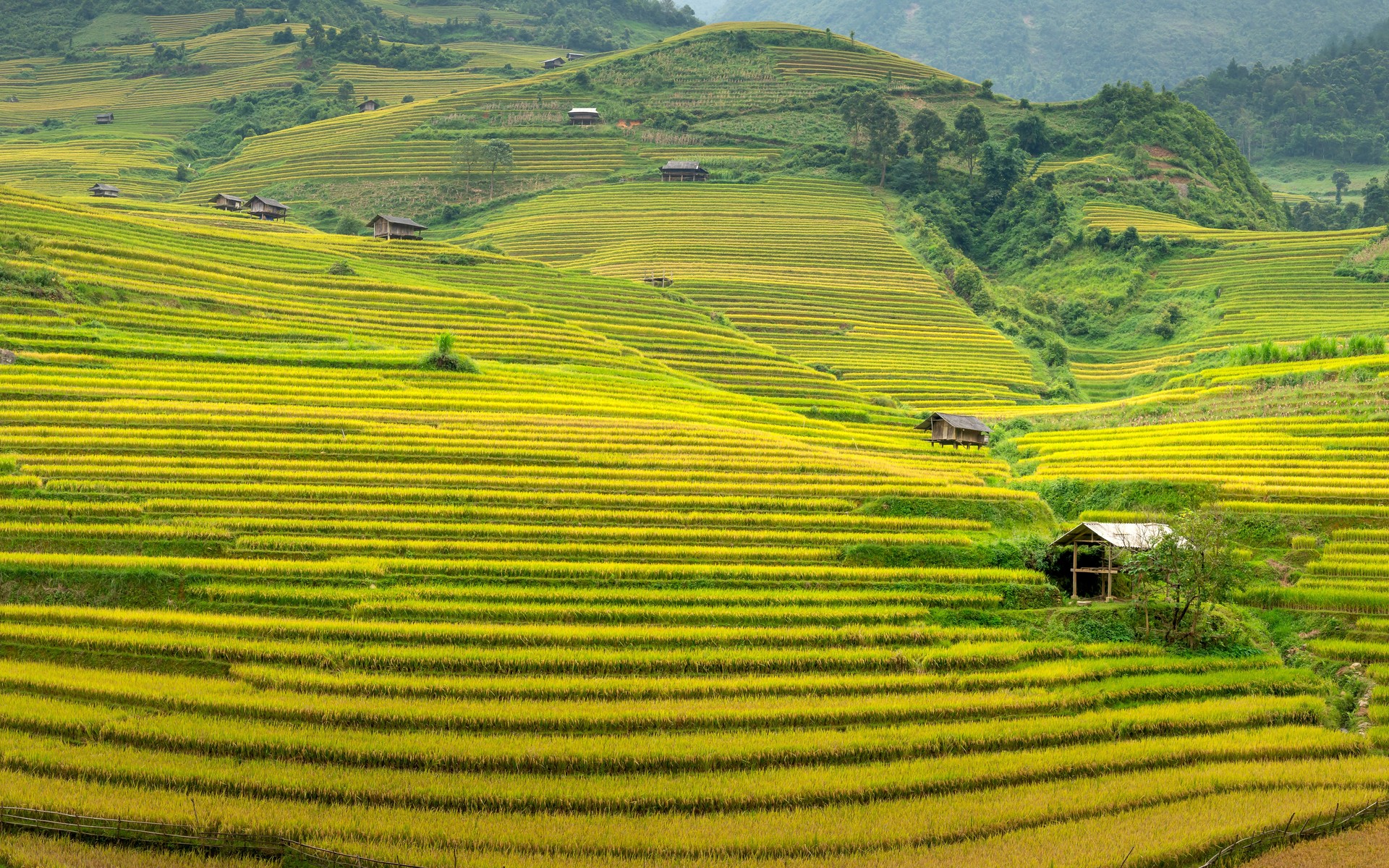 A photograph of Sapa, Vietnam.
