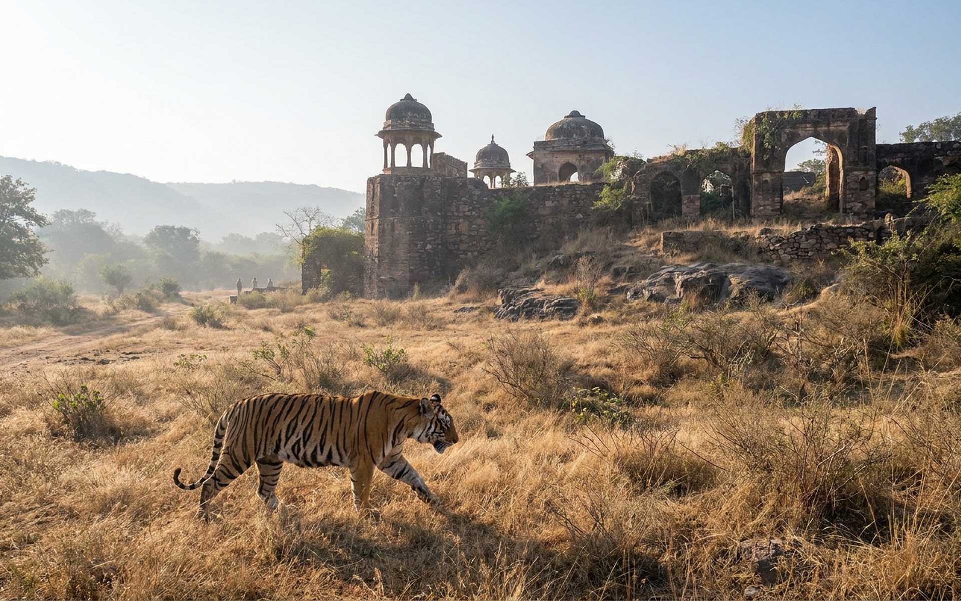 Ranthambore, India