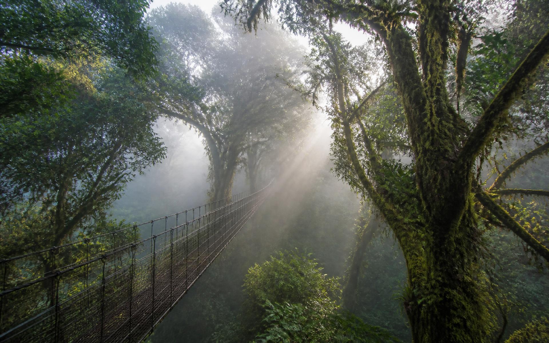 Monteverde Cloud Forest, Costa Rica