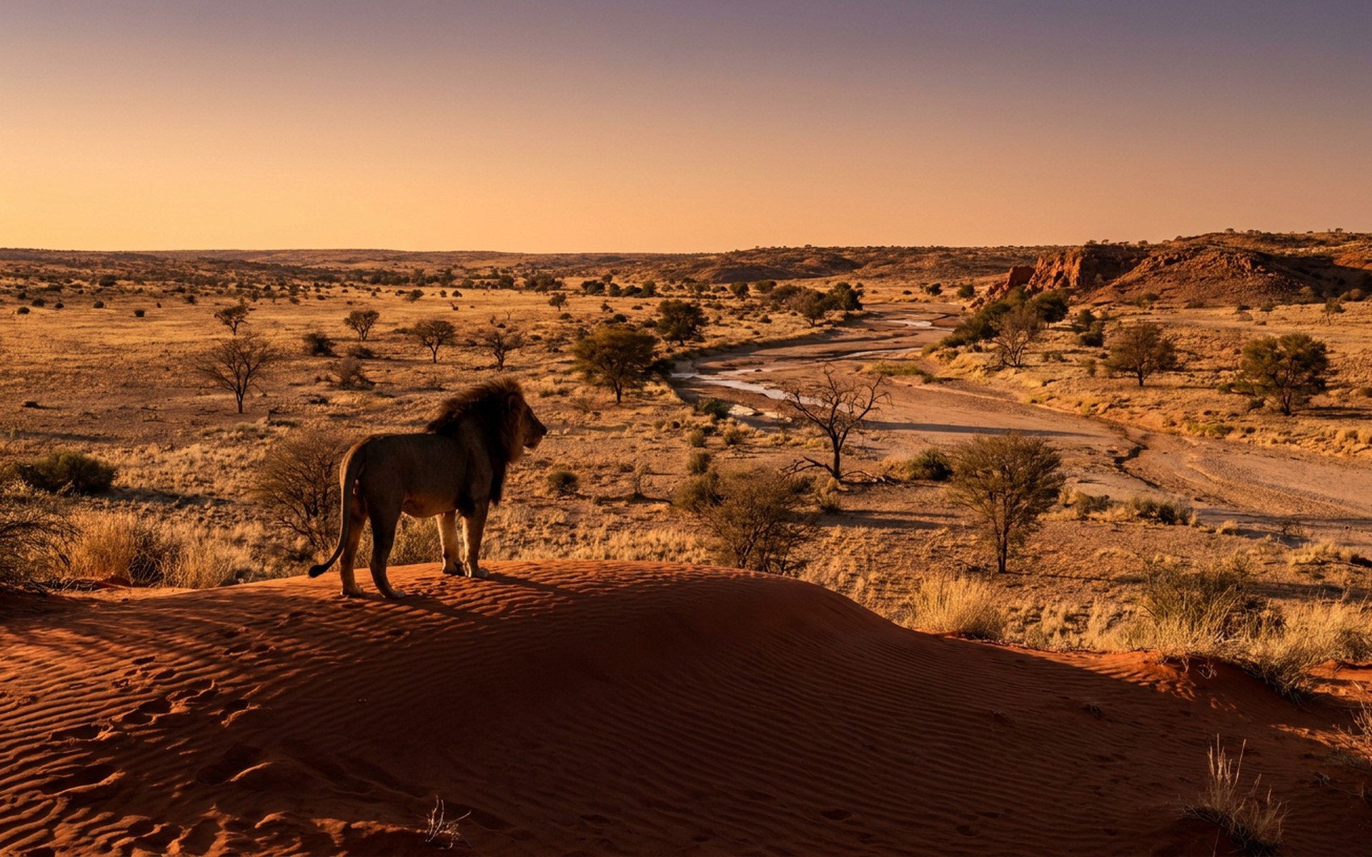 Kgalagadi Transfrontier Park, South Africa