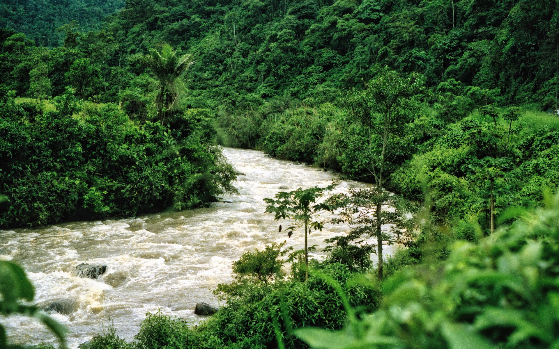 A photograph of Ecuadorian Amazon Lodges, Ecuador.