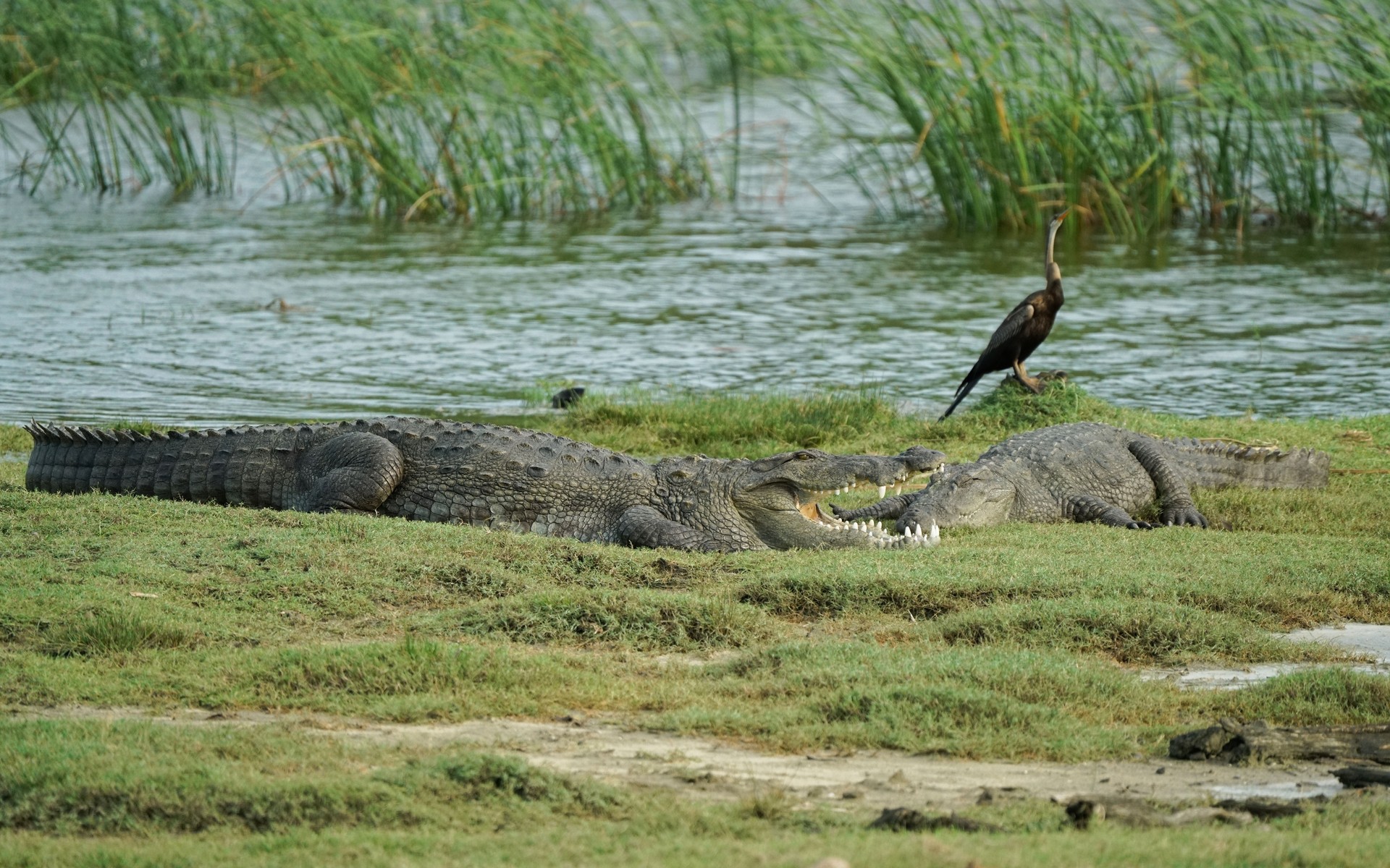 A photograph of Yala & Udawalawe, Sri Lanka.
