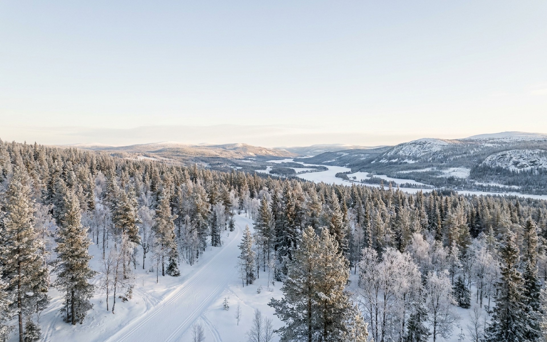 Vast, snow-covered forest landscapes around Trysil, Norway, with cross-country ski tracks winding through dense pine trees on a crisp winter day. at Trysil, Norway — original Triple VIP destination visual.