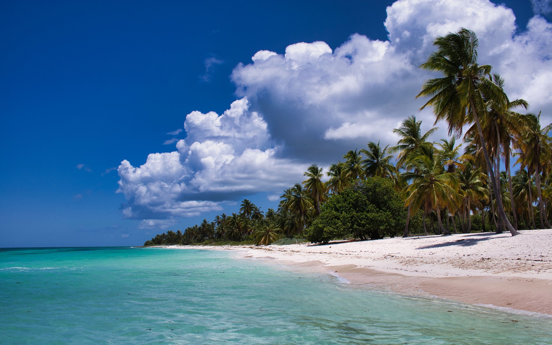 A photograph of Punta Cana, Dominican Republic.