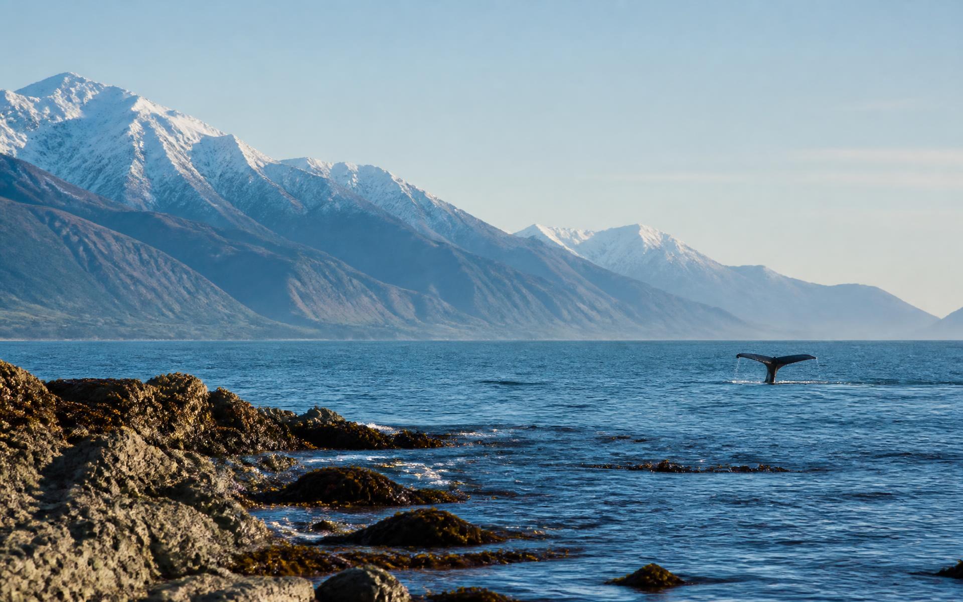 Kaikōura, New Zealand